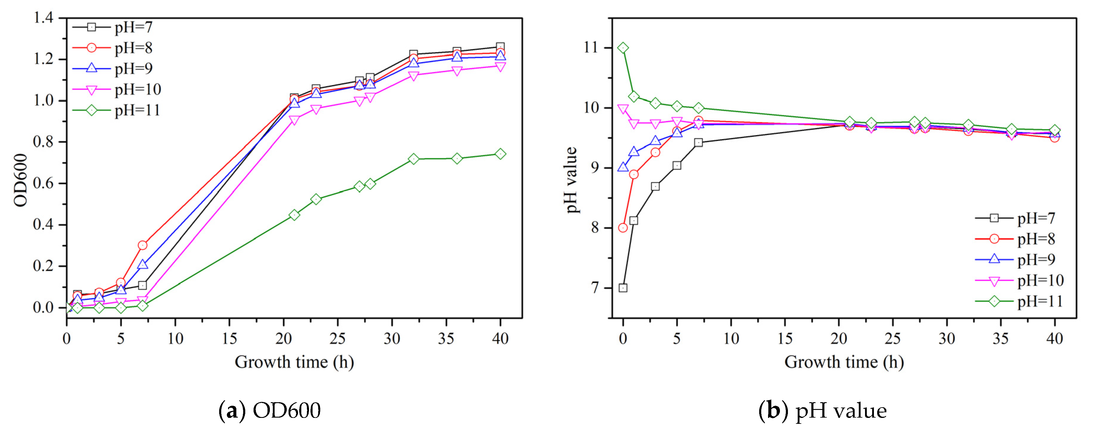 Materials 14 05631 g001a