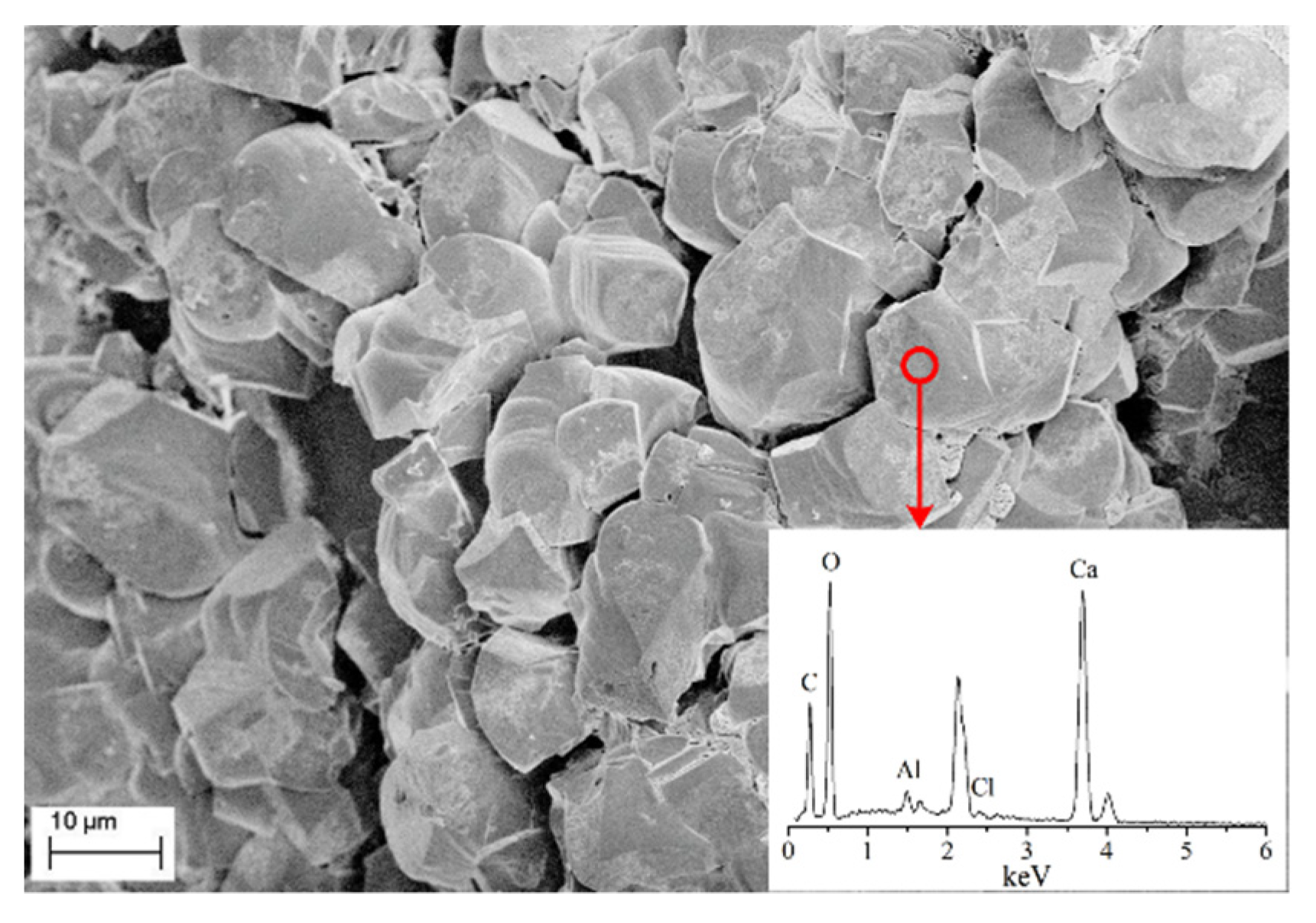 Materials 14 05631 g006