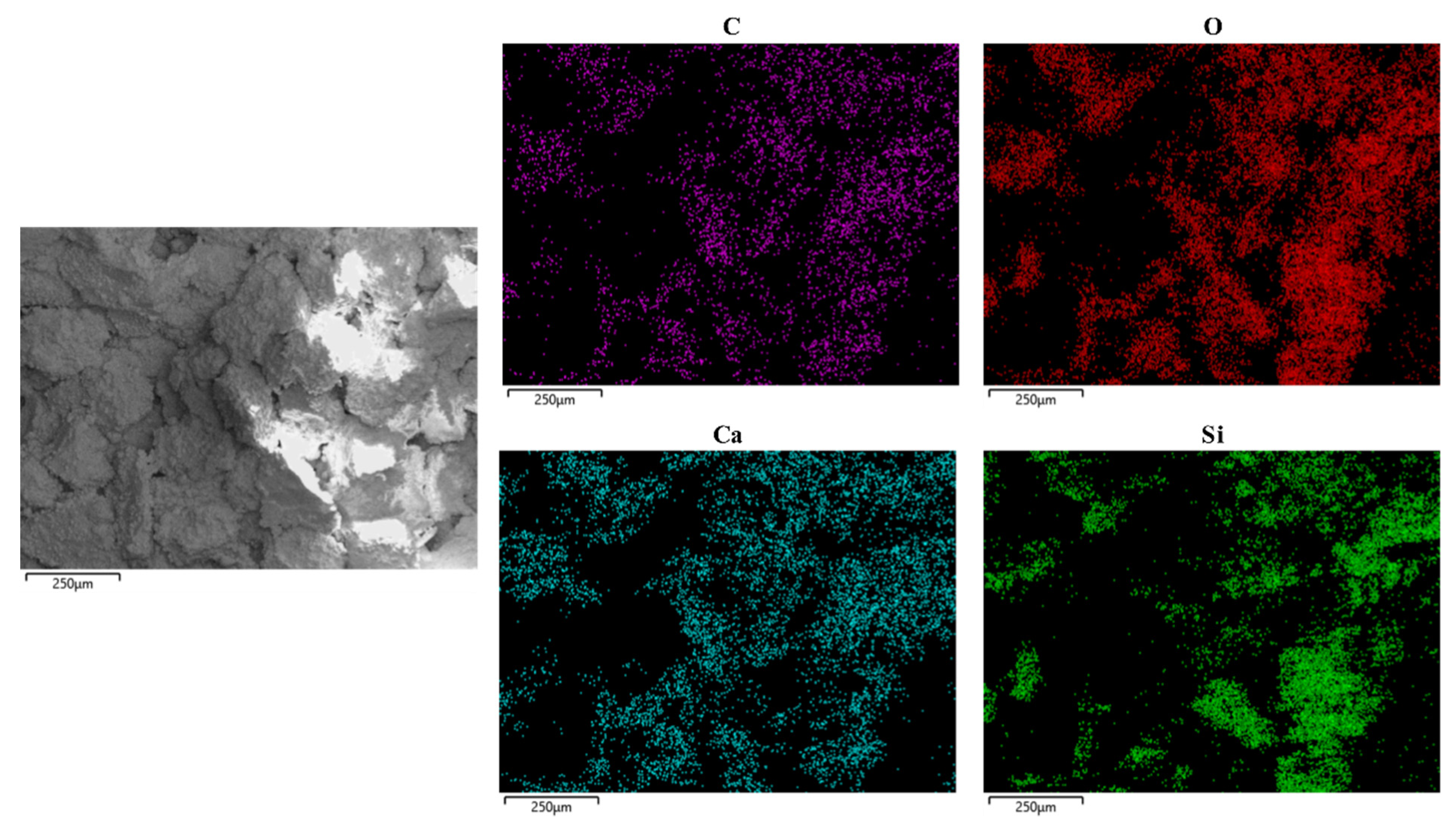 Materials 14 05631 g008