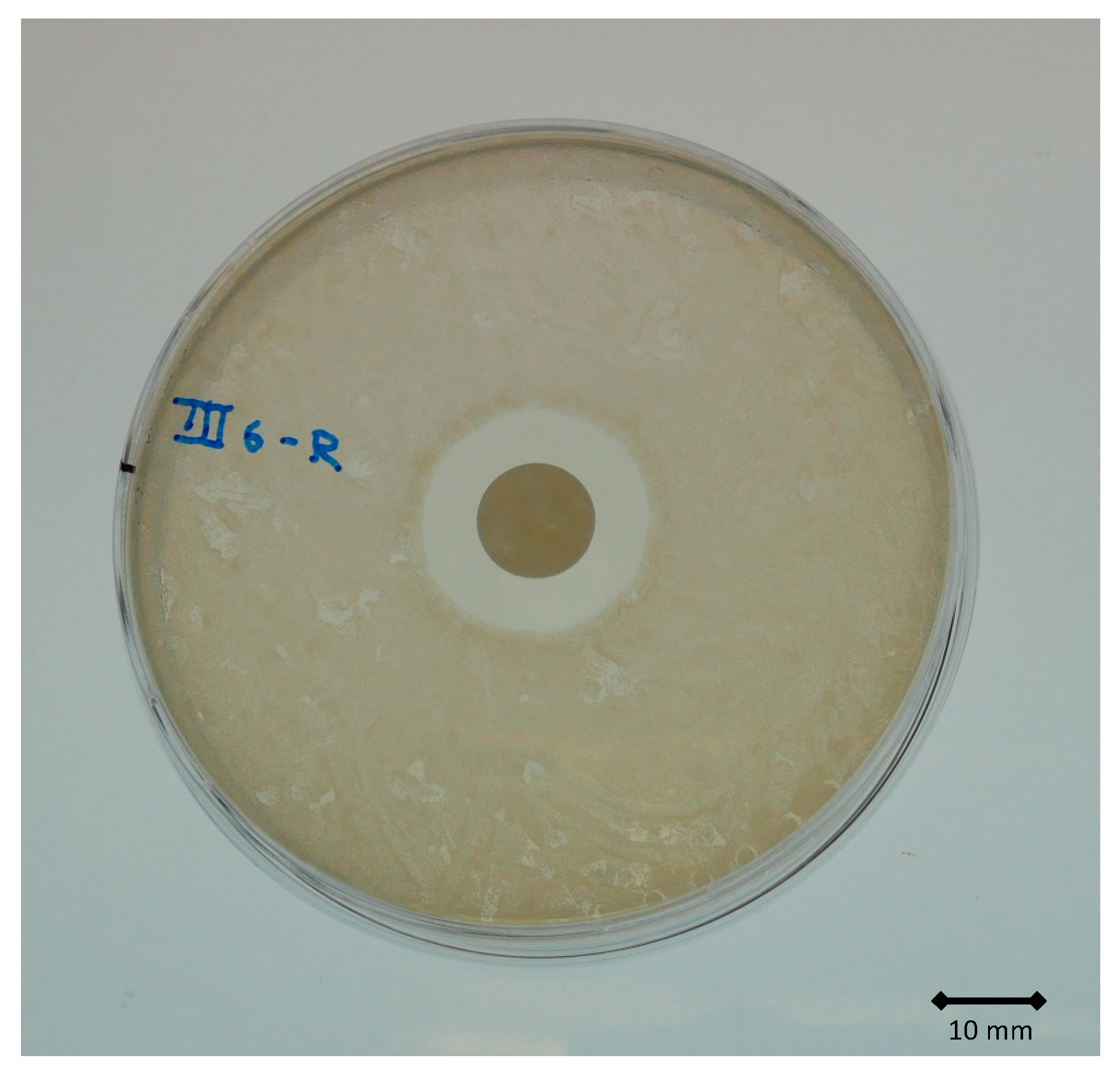 Materials 14 05639 g003