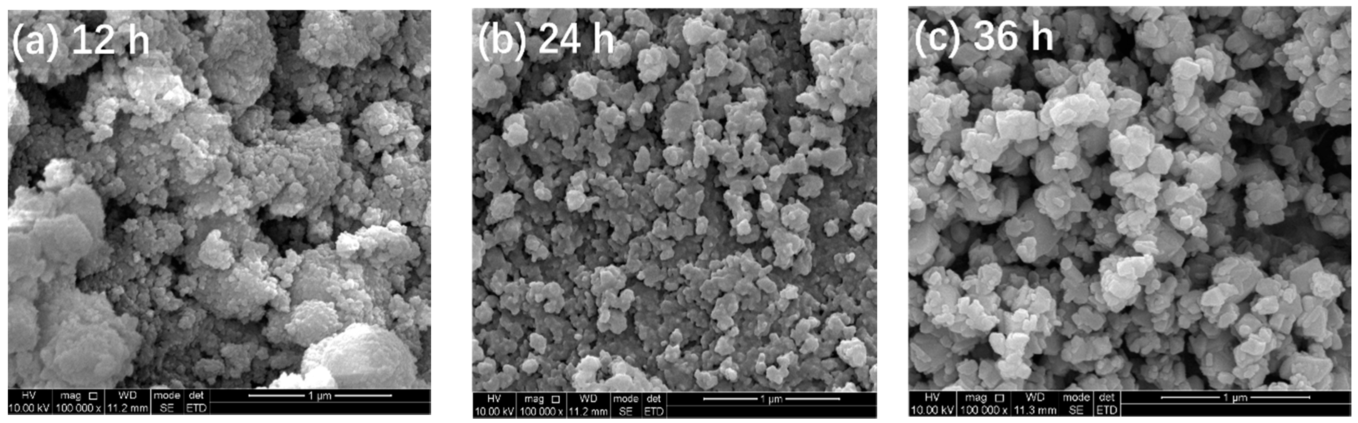 Materials 14 05674 g002