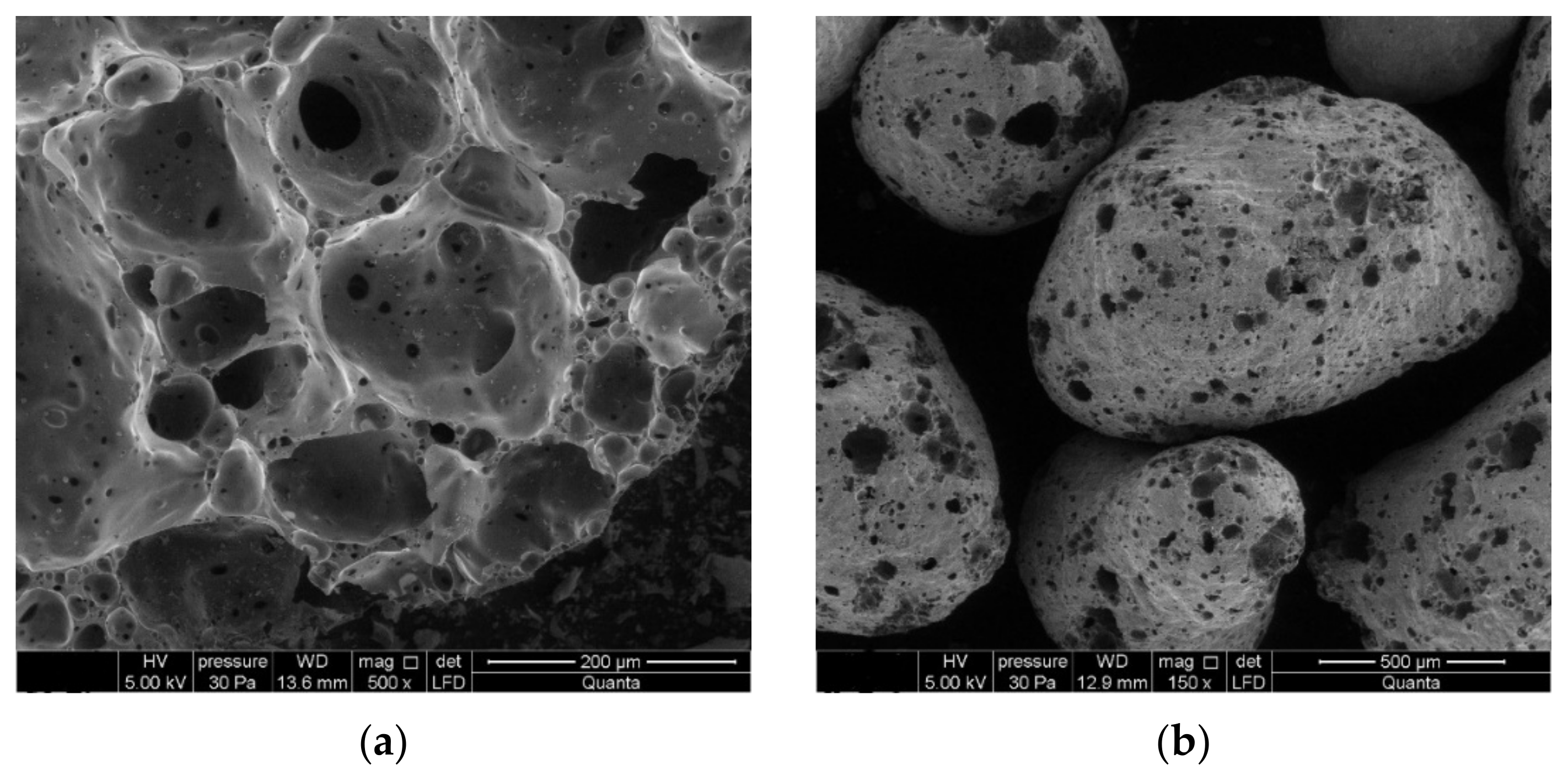 Materials 14 05678 g001