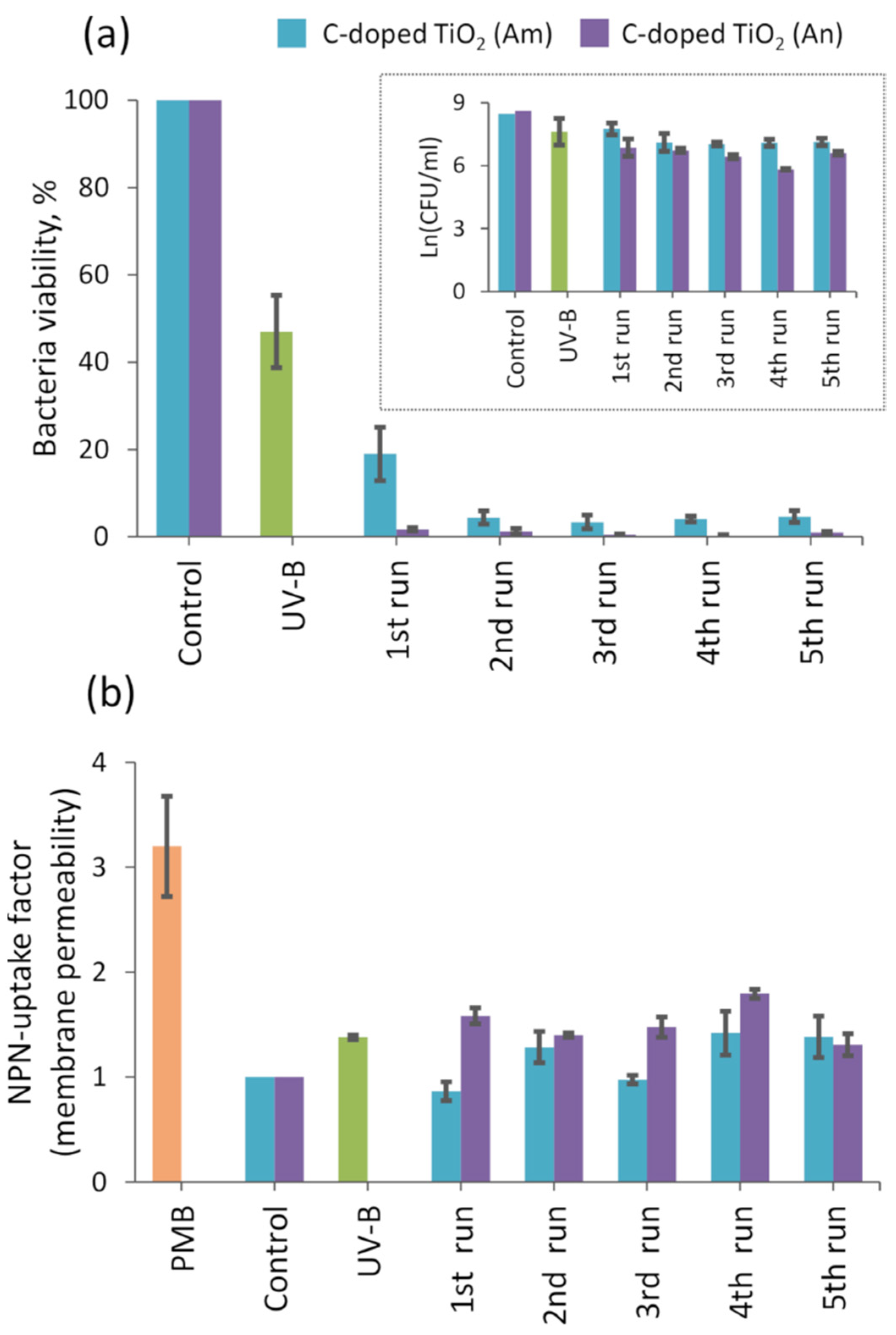 Materials 14 05681 g006