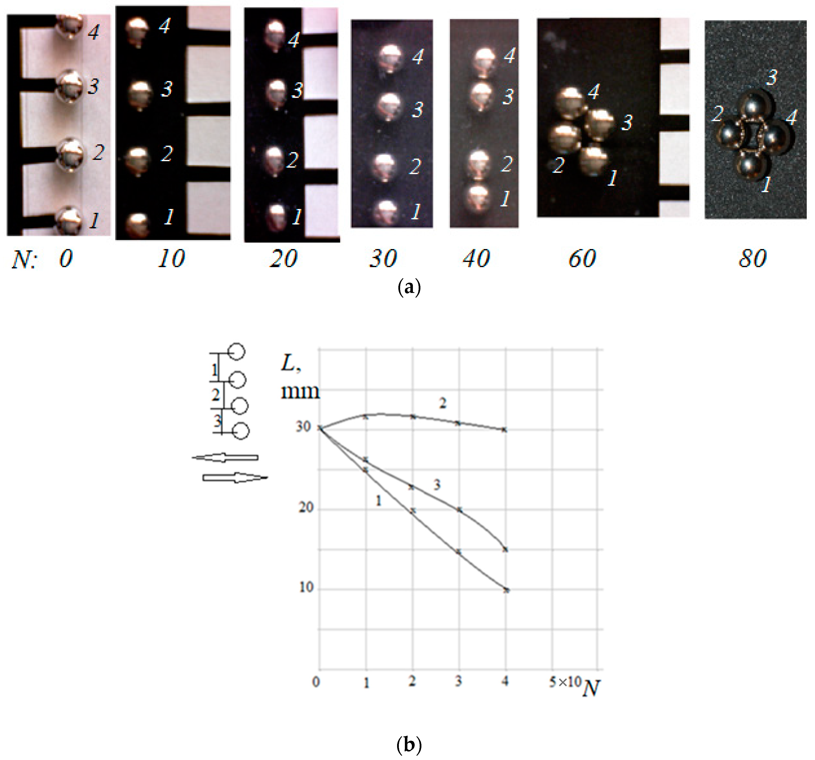 Materials 14 05689 g002