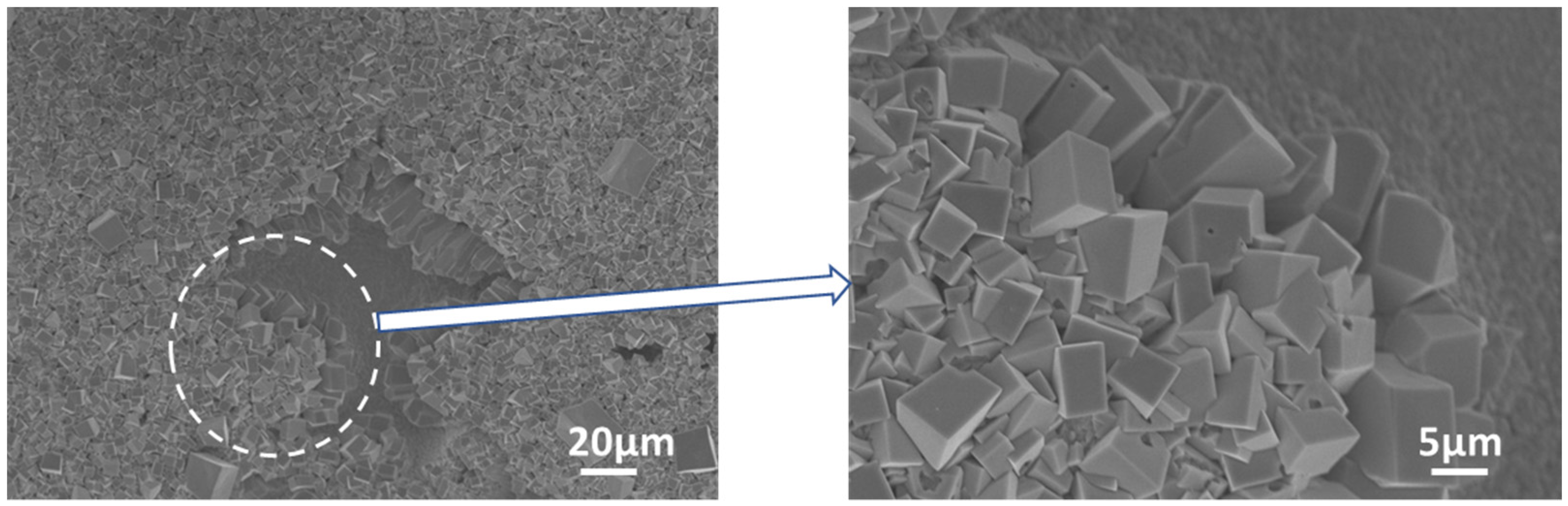 Materials 14 05694 g007