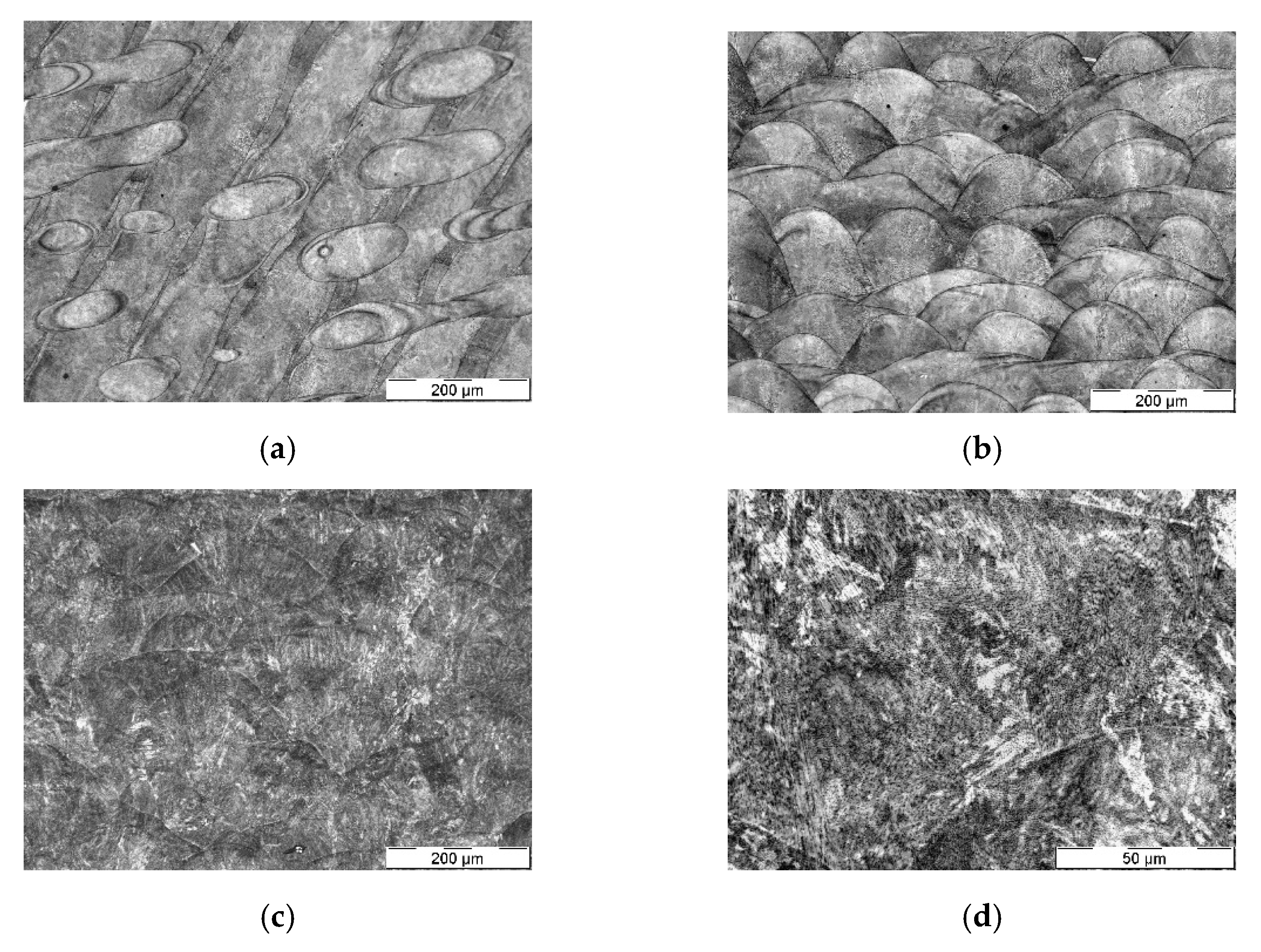 Materials 14 05695 g001a