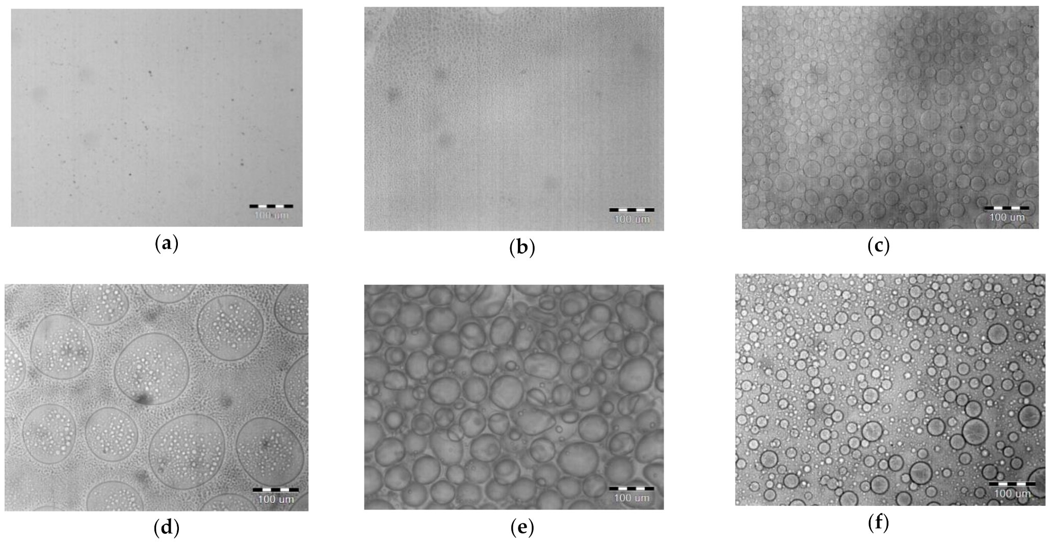 Materials 14 05740 g005a