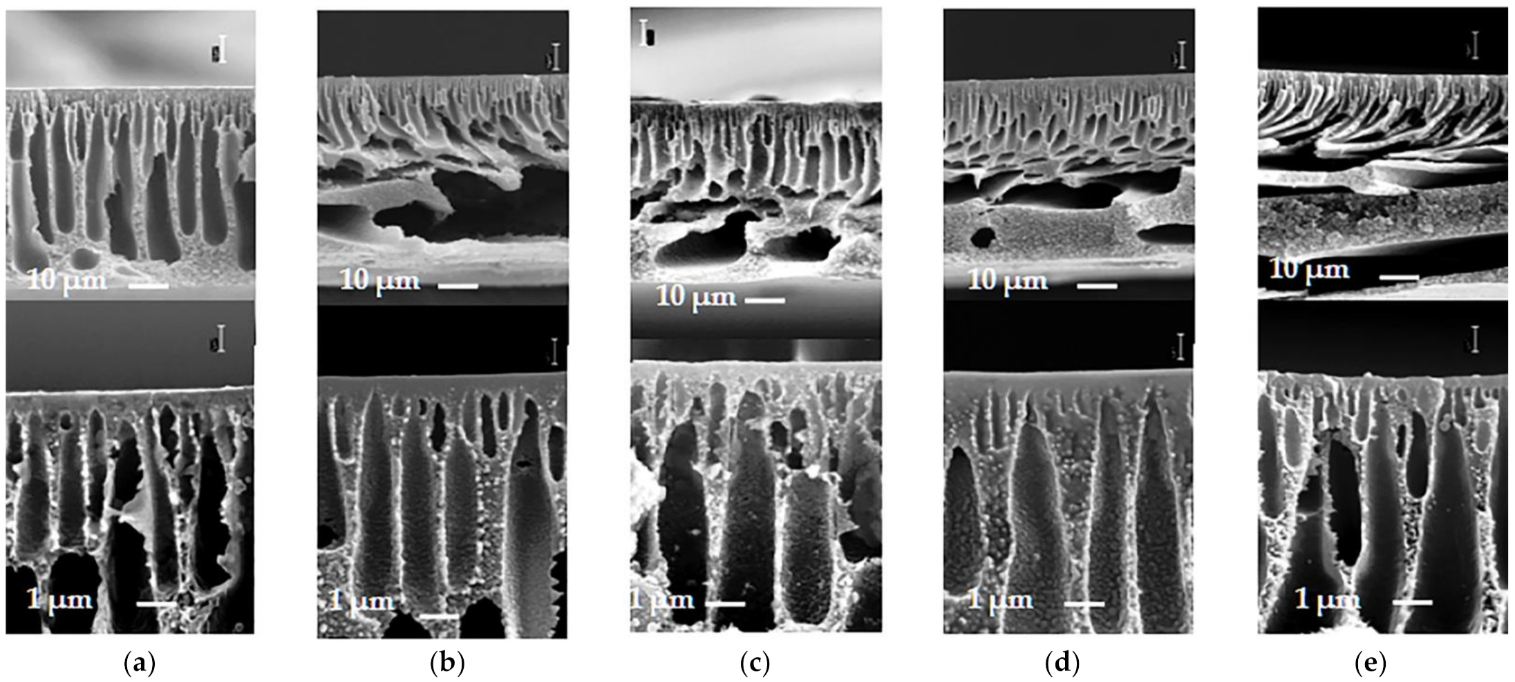 Materials 14 05740 g006