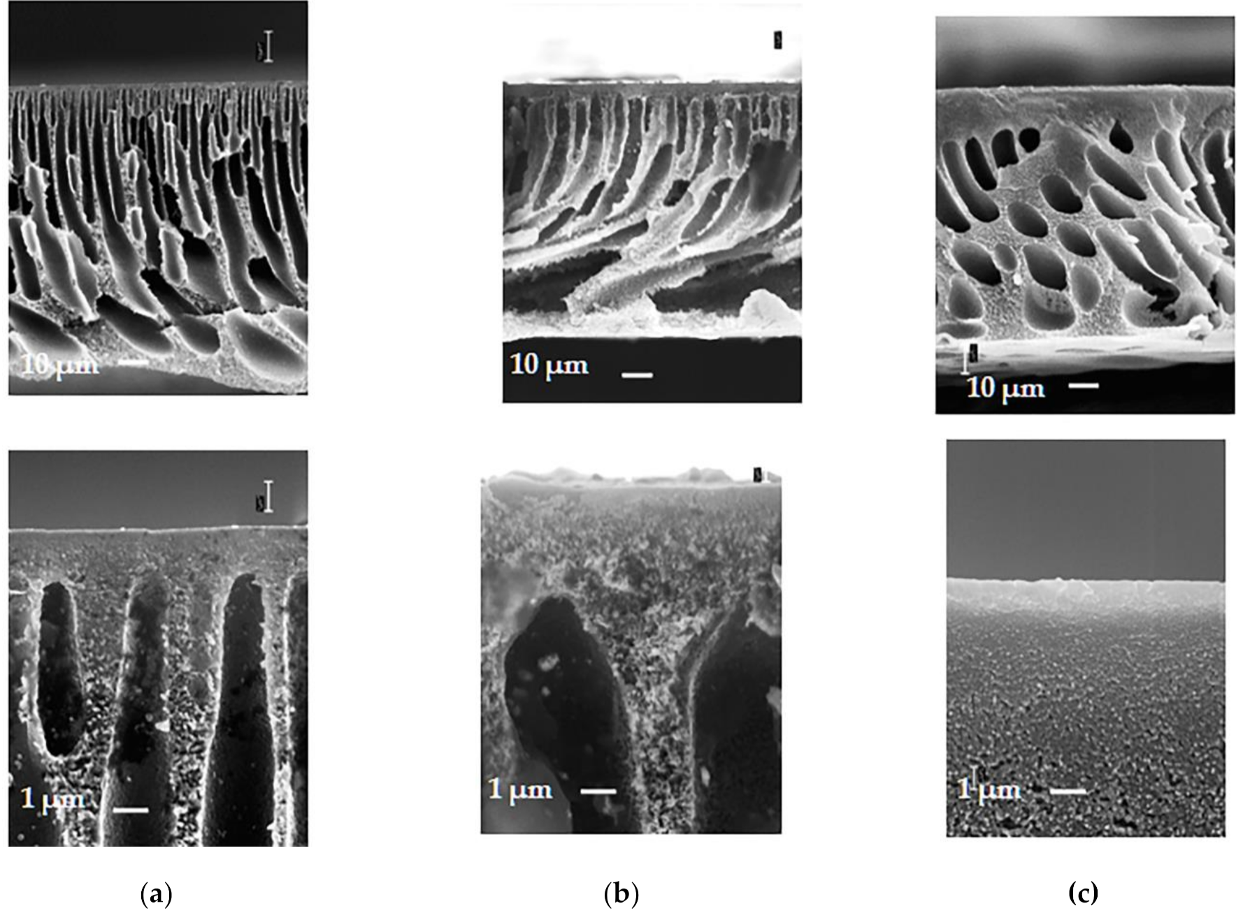 Materials 14 05740 g007