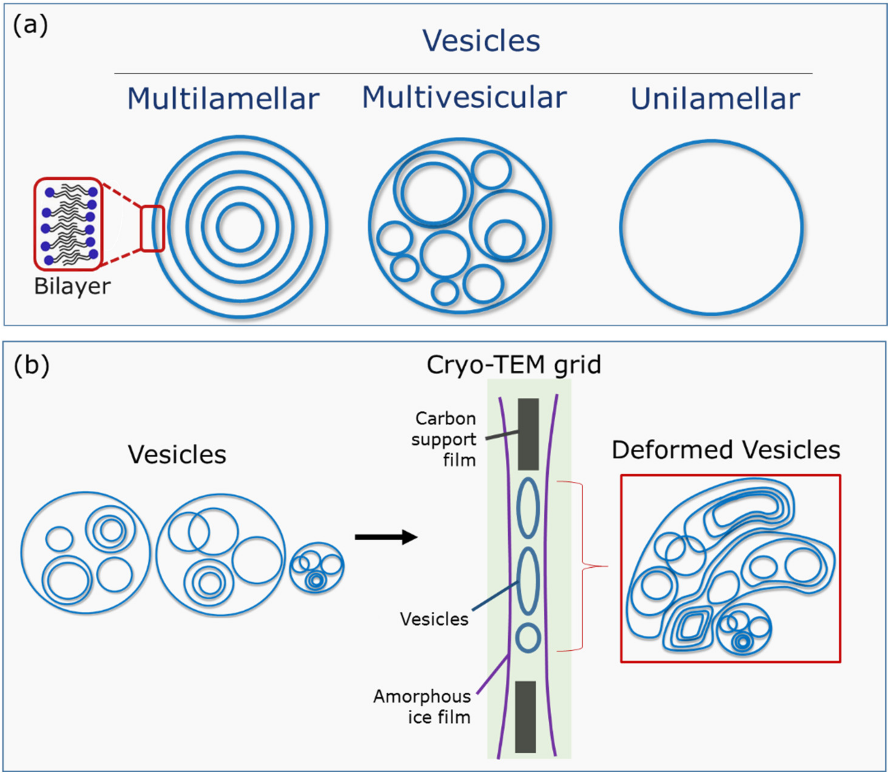 Materials 14 05749 g002 Materials 14 05749 g002