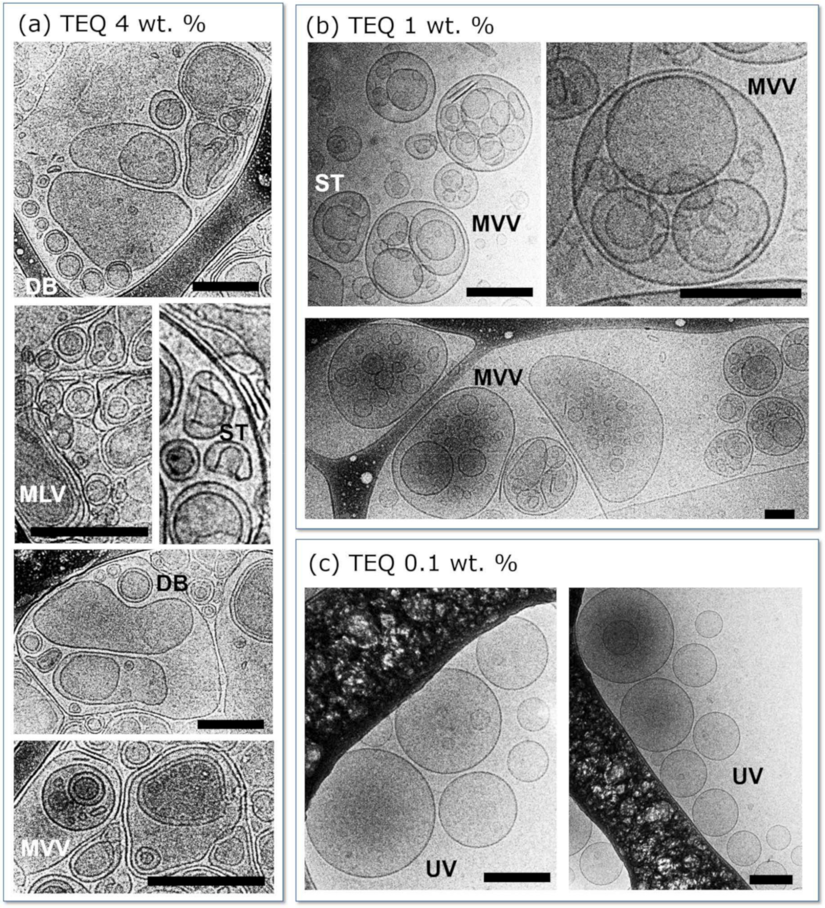 Materials 14 05749 g003 Materials 14 05749 g003