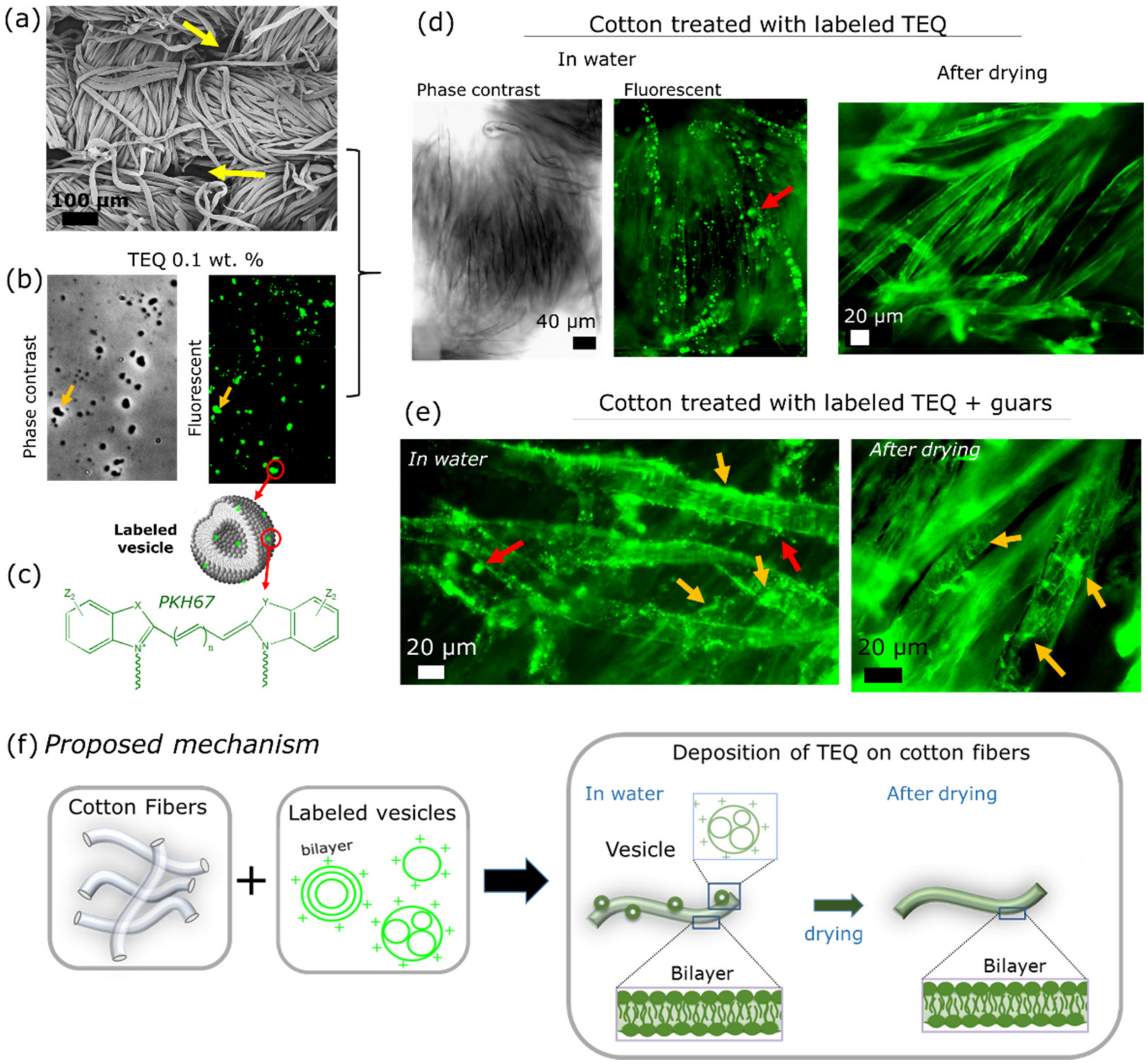 Materials 14 05749 g009 Materials 14 05749 g009