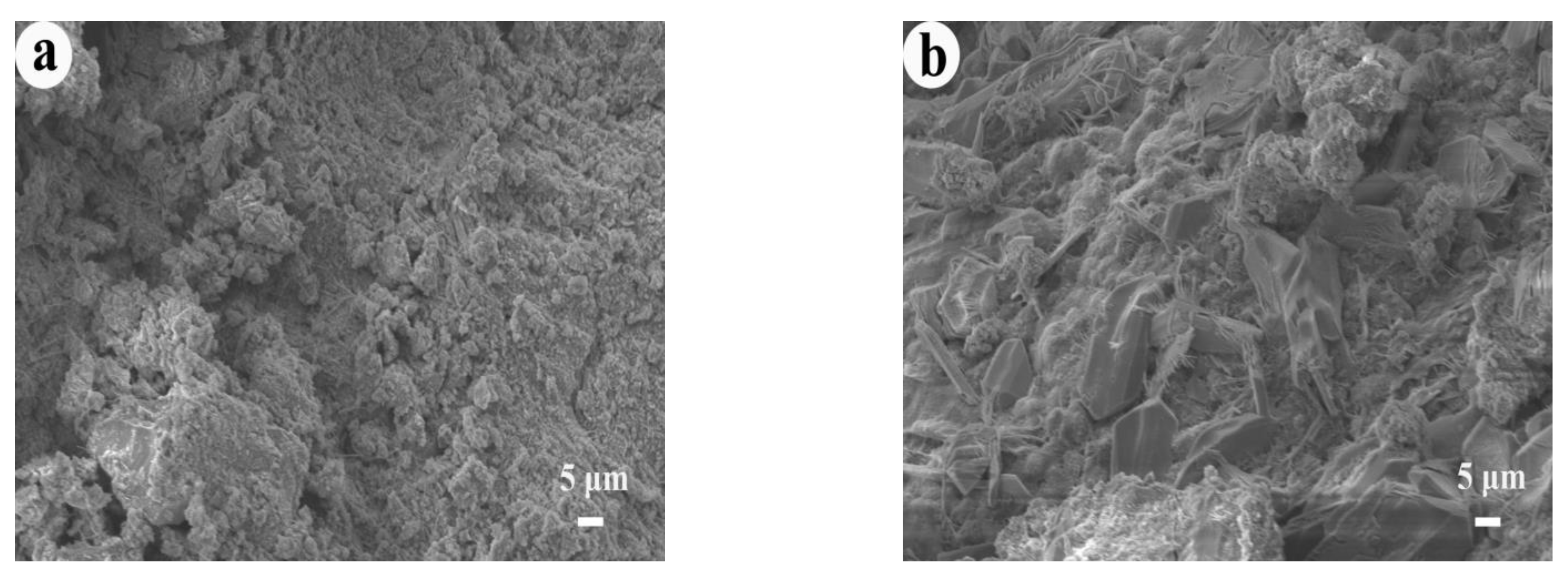 Materials 14 05751 g010a