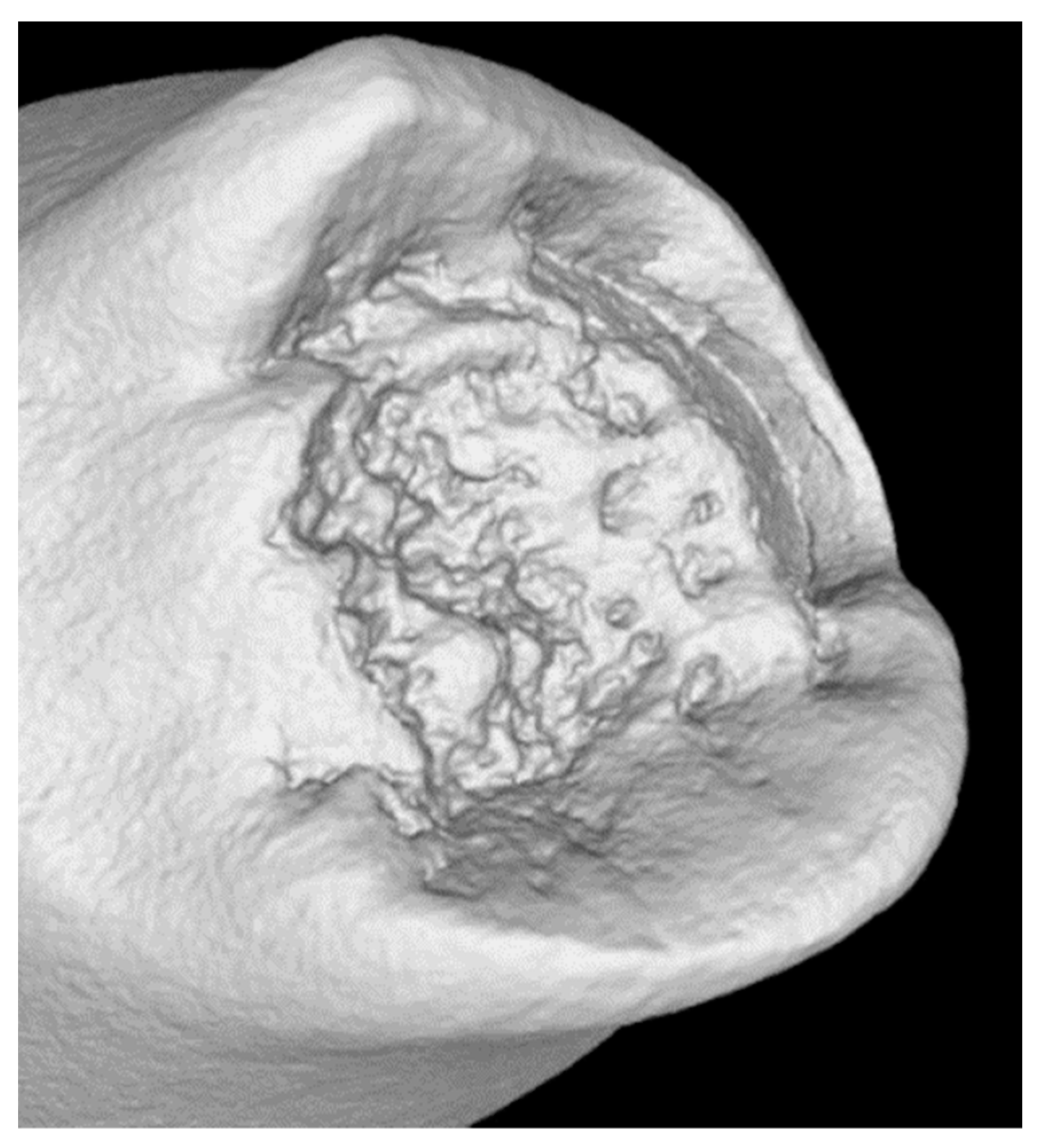 Materials 14 05766 g004