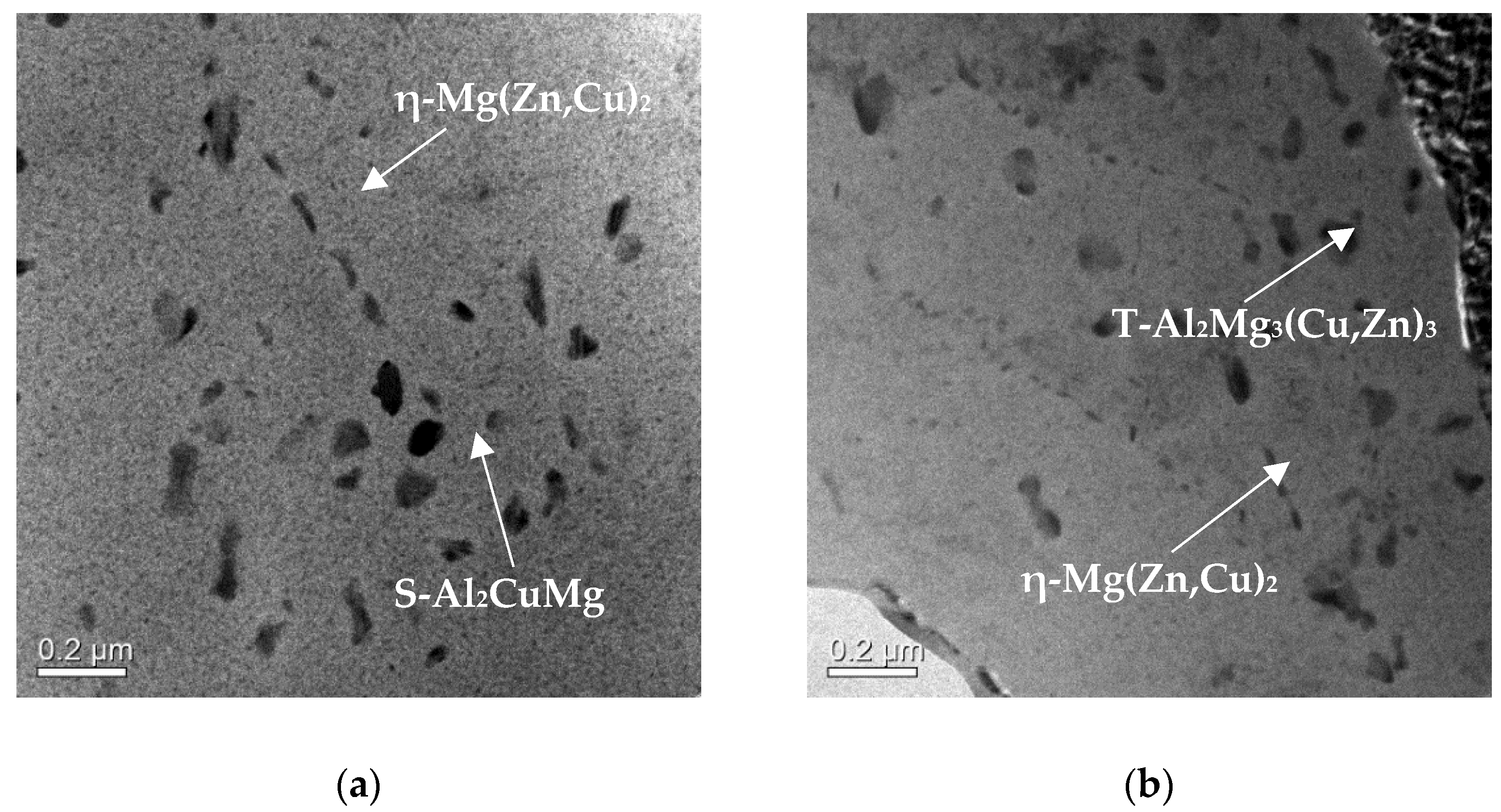 Materials 14 05776 g008
