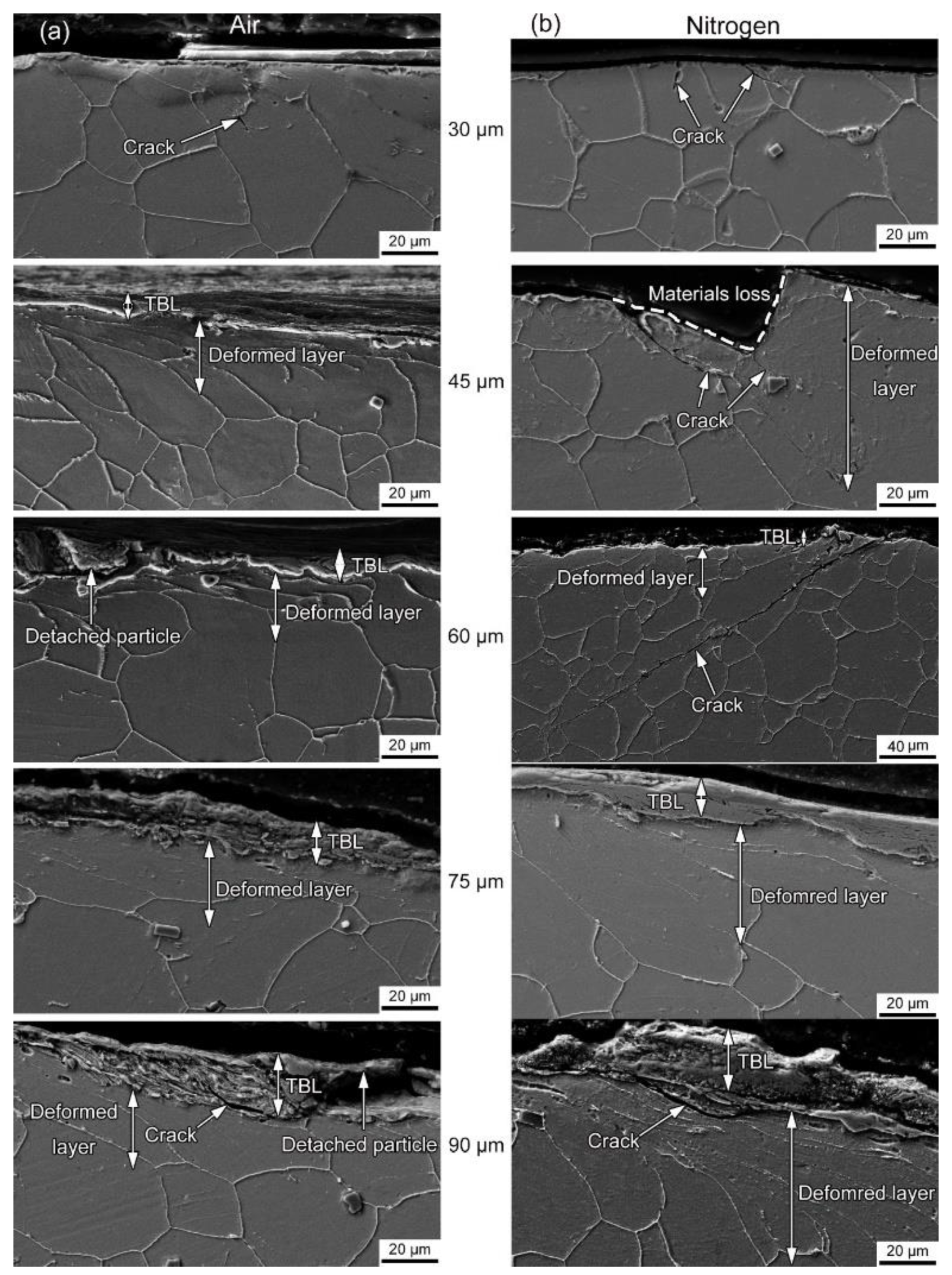 Materials 14 05778 g007