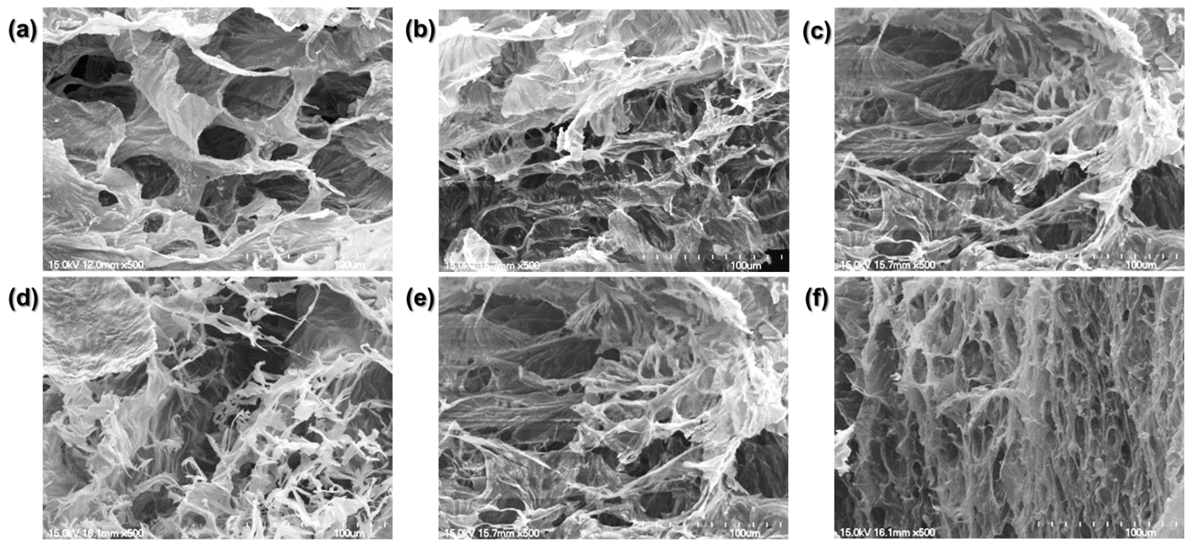 Materials 14 05788 g004