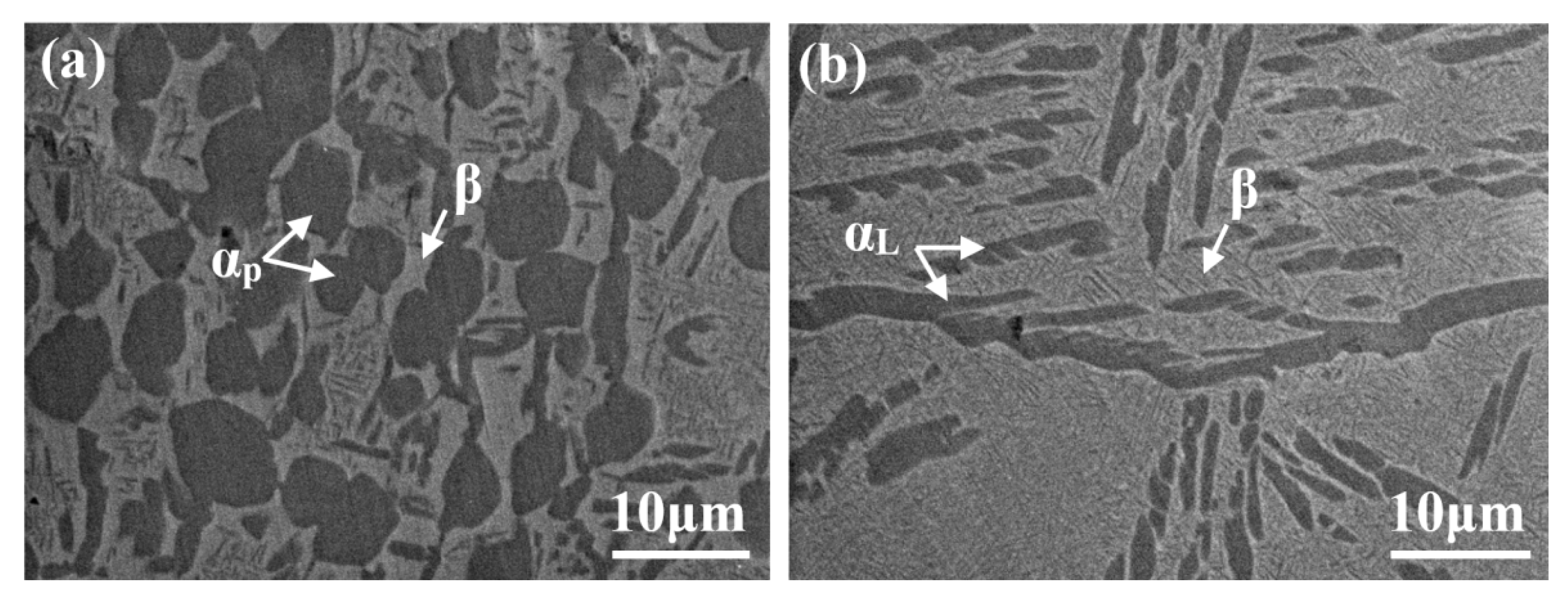 Materials 14 05794 g003