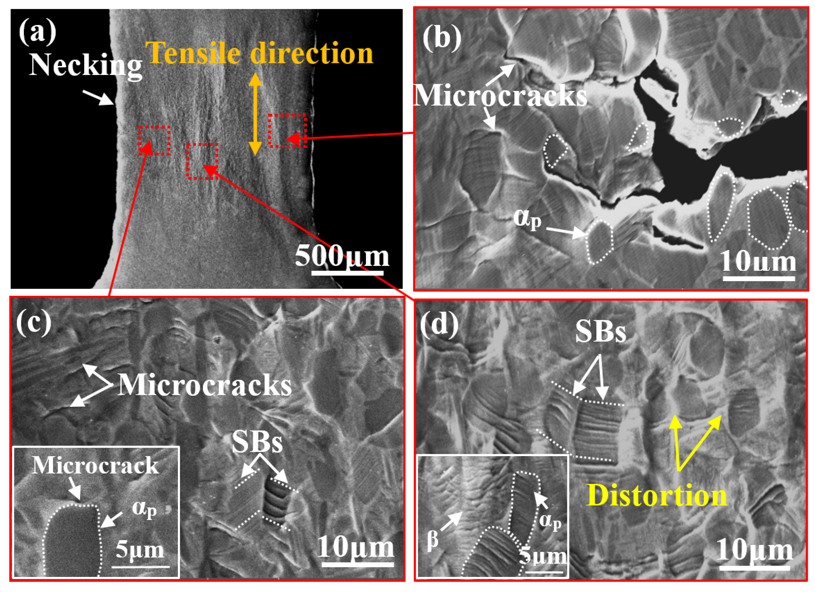 Materials 14 05794 g006