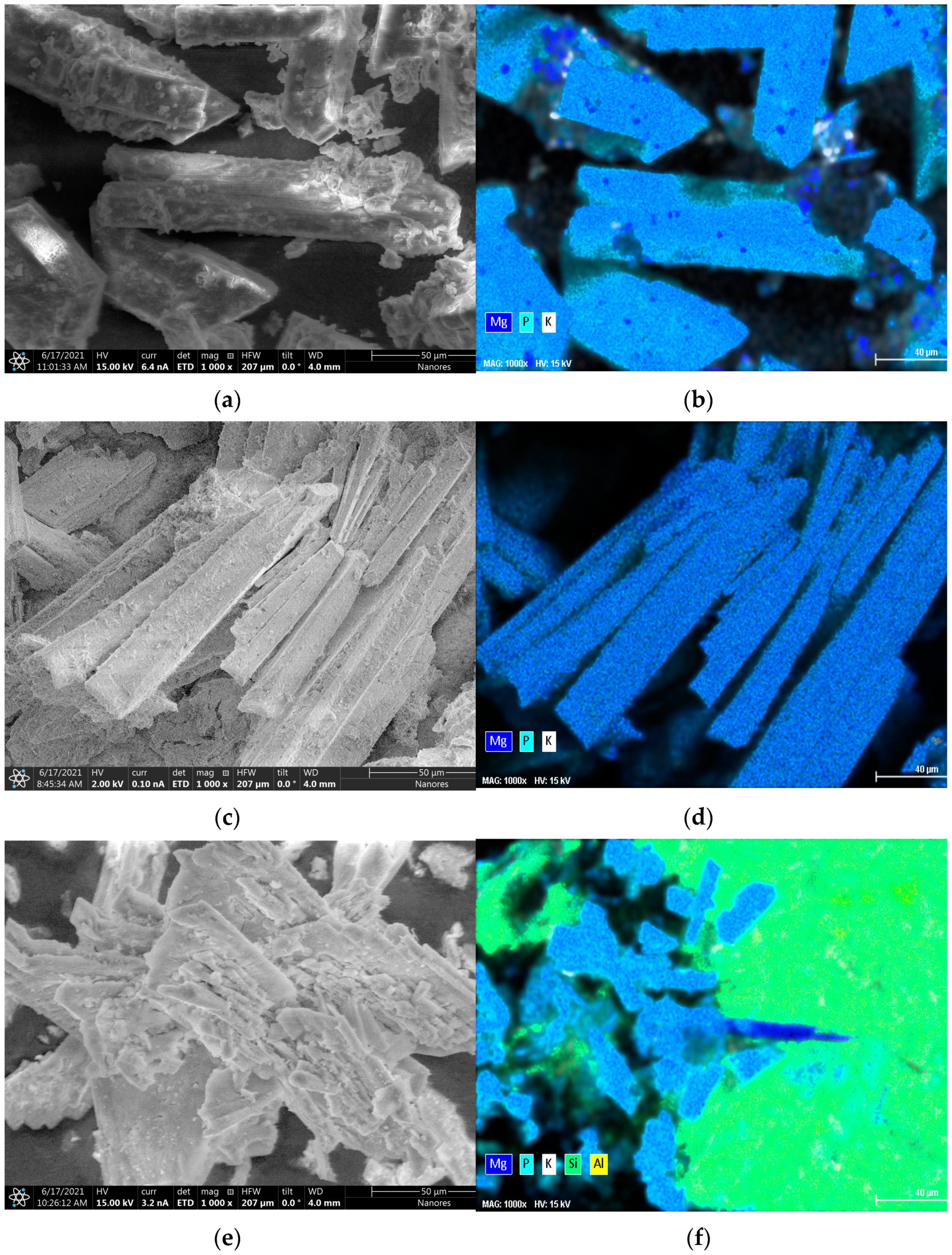 Materials 14 05822 g004 Materials 14 05822 g004