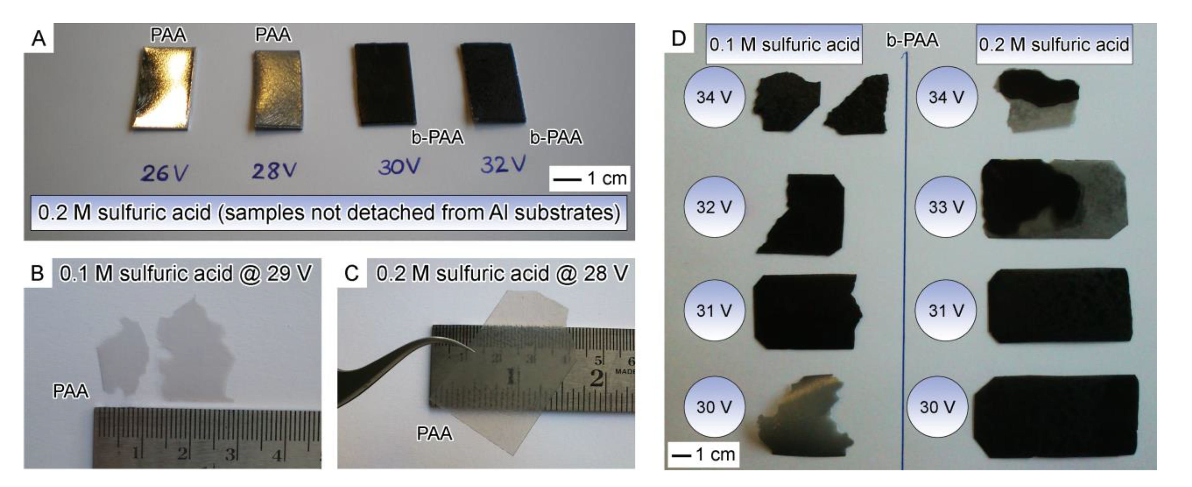 Materials 14 05827 g001 Materials 14 05827 g001
