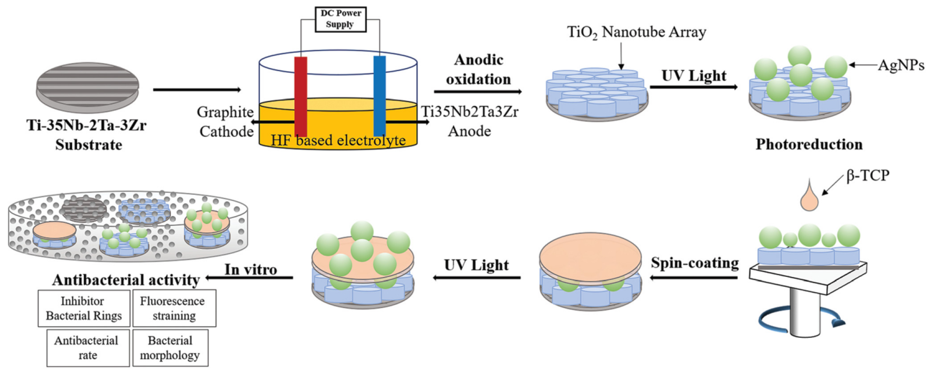 Materials 14 05834 g002