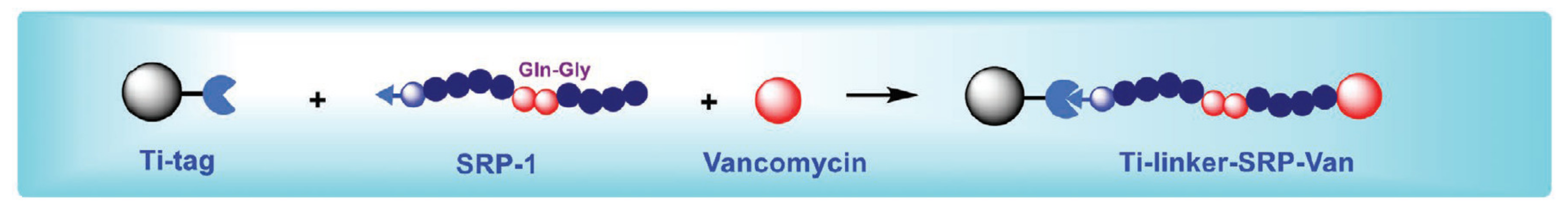 Materials 14 05834 g003