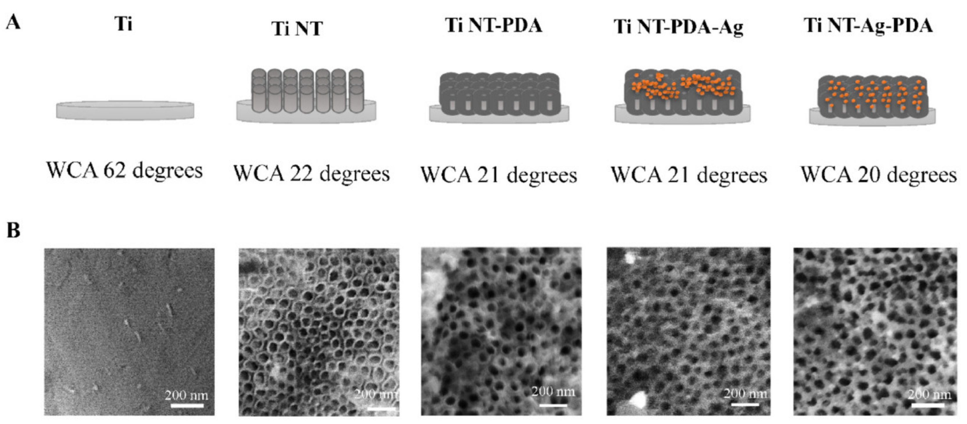 Materials 14 05834 g004