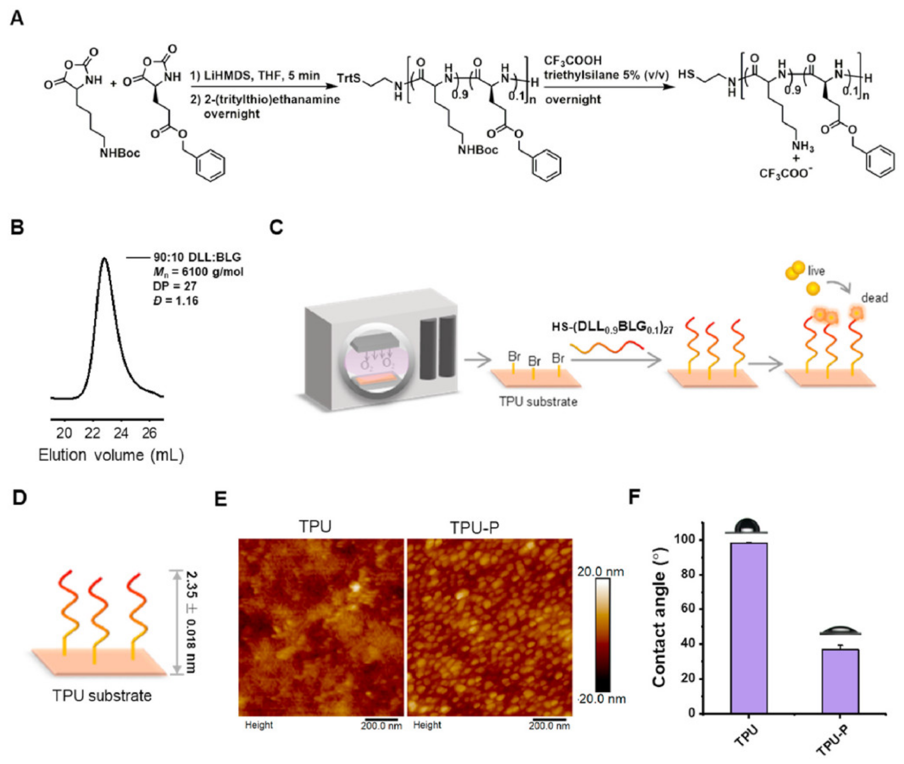 Materials 14 05834 g005