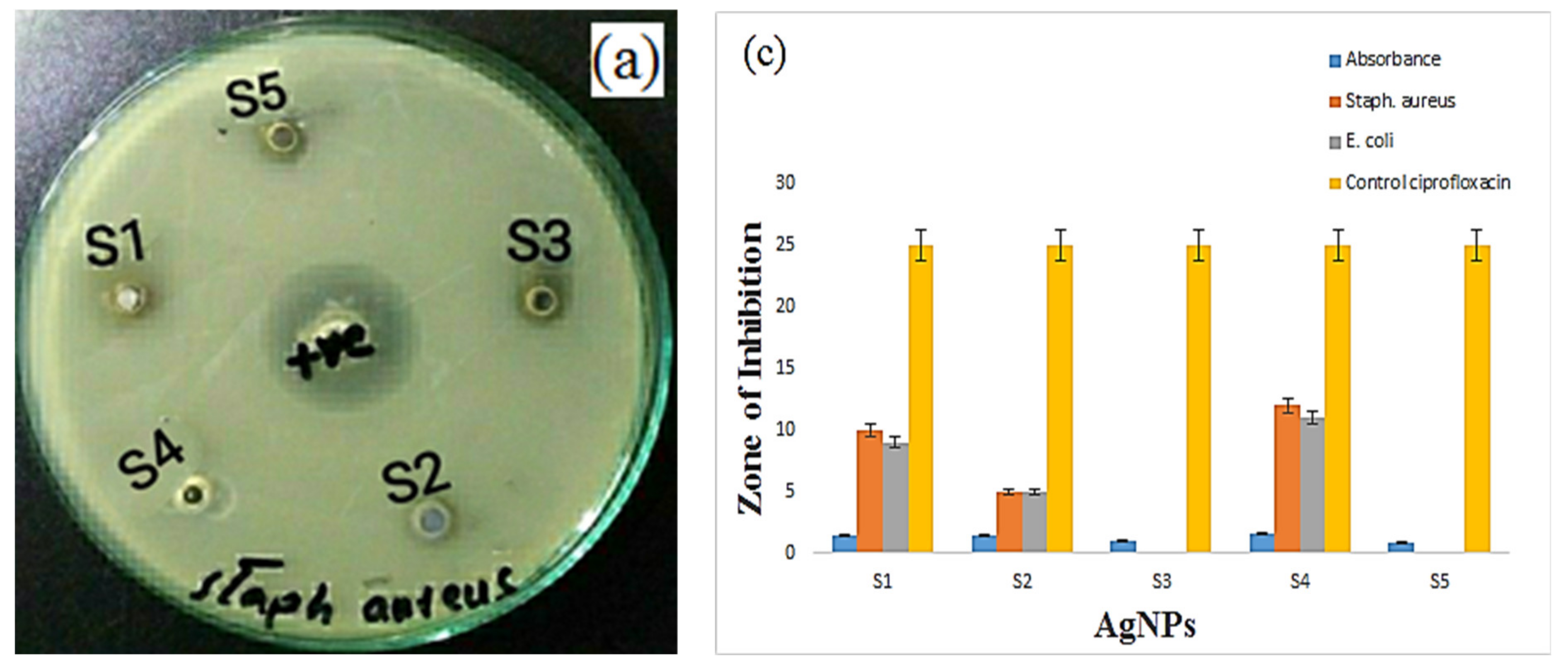 Materials 14 05841 g009a
