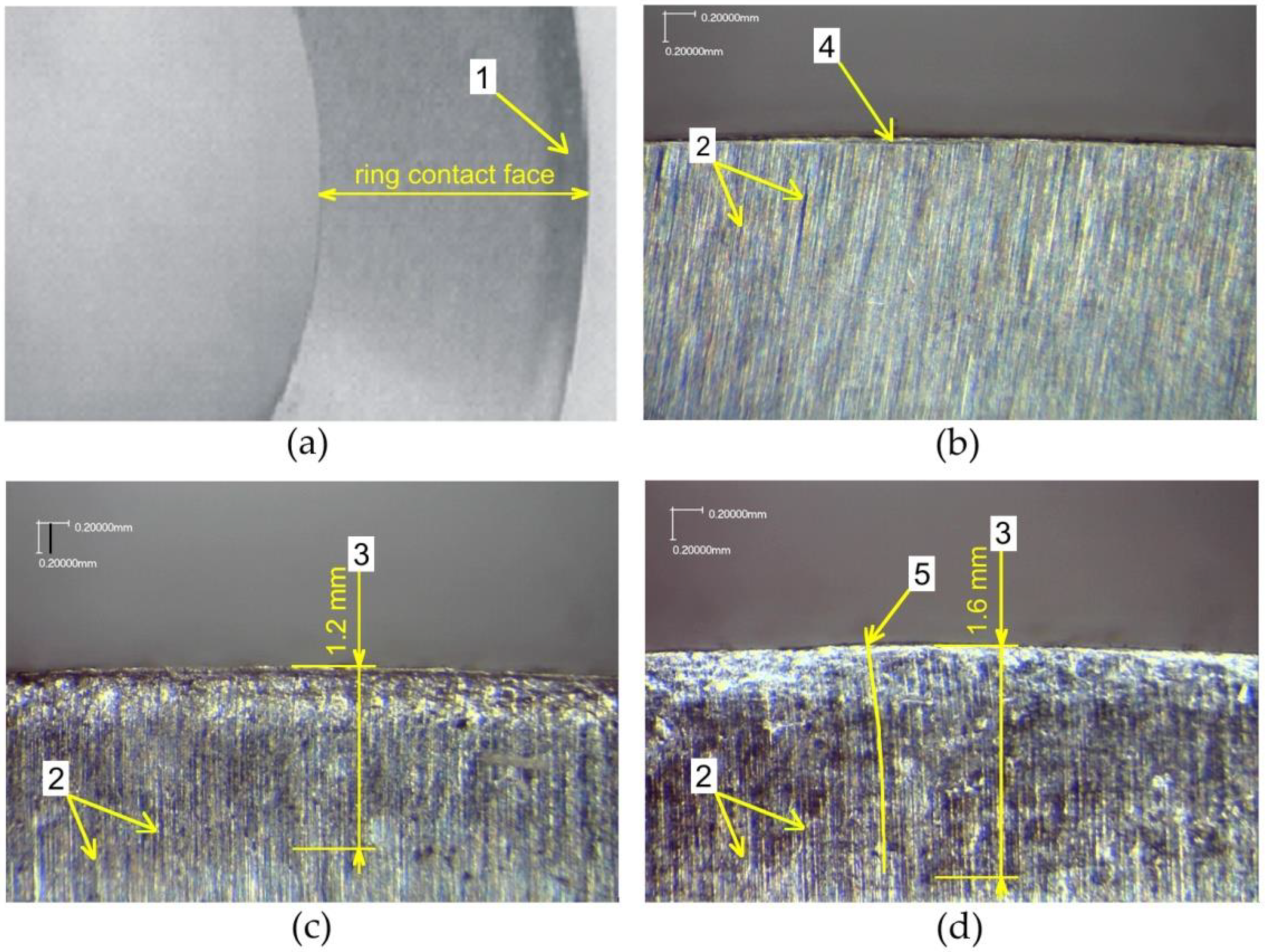 Materials 14 05844 g012