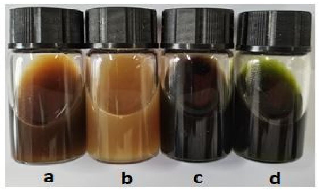 Materials 14 05850 g002