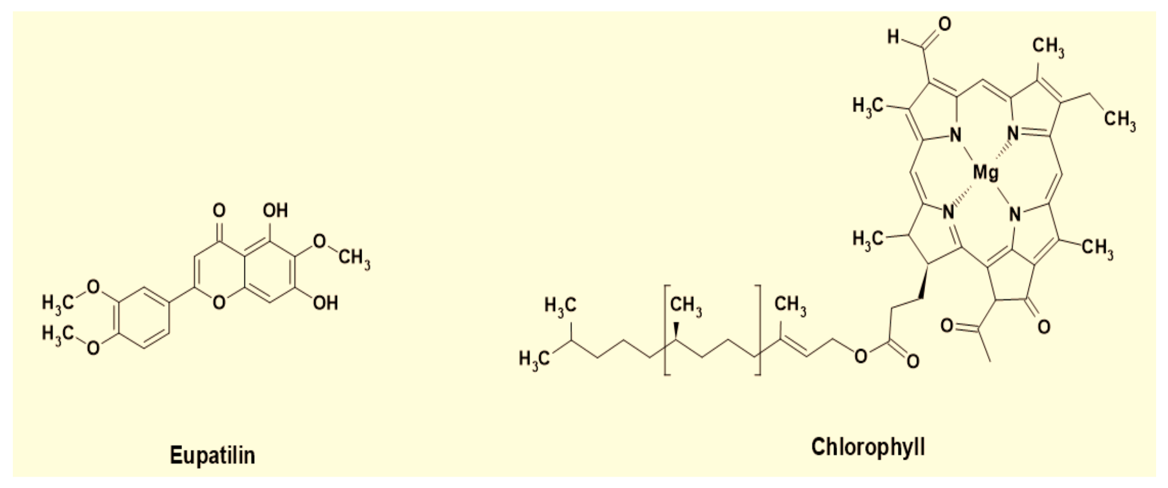 Materials 14 05850 g007
