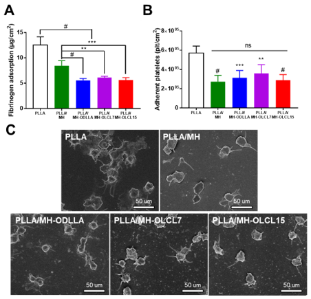 Materials 14 05869 g006
