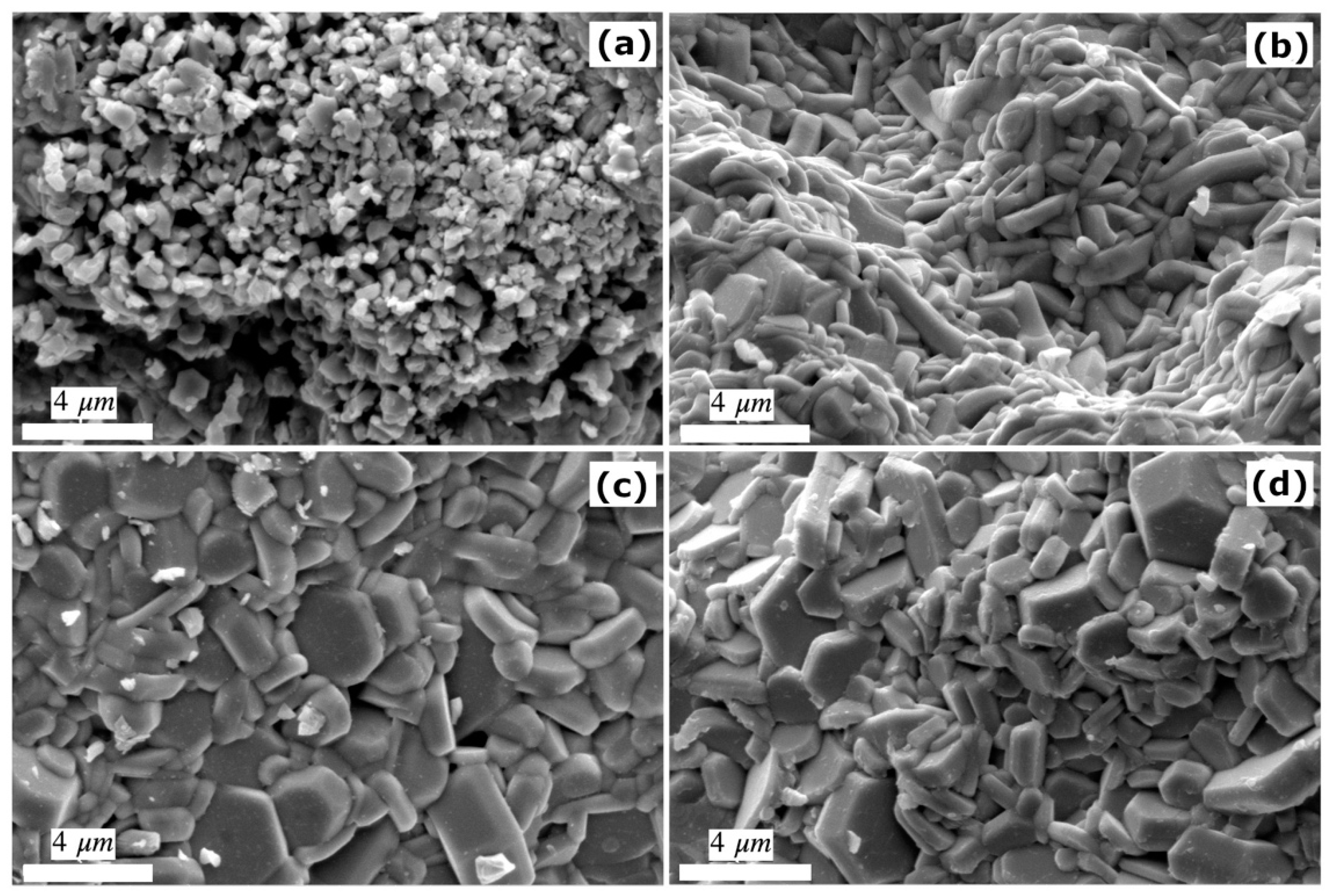 Materials 14 05873 g002