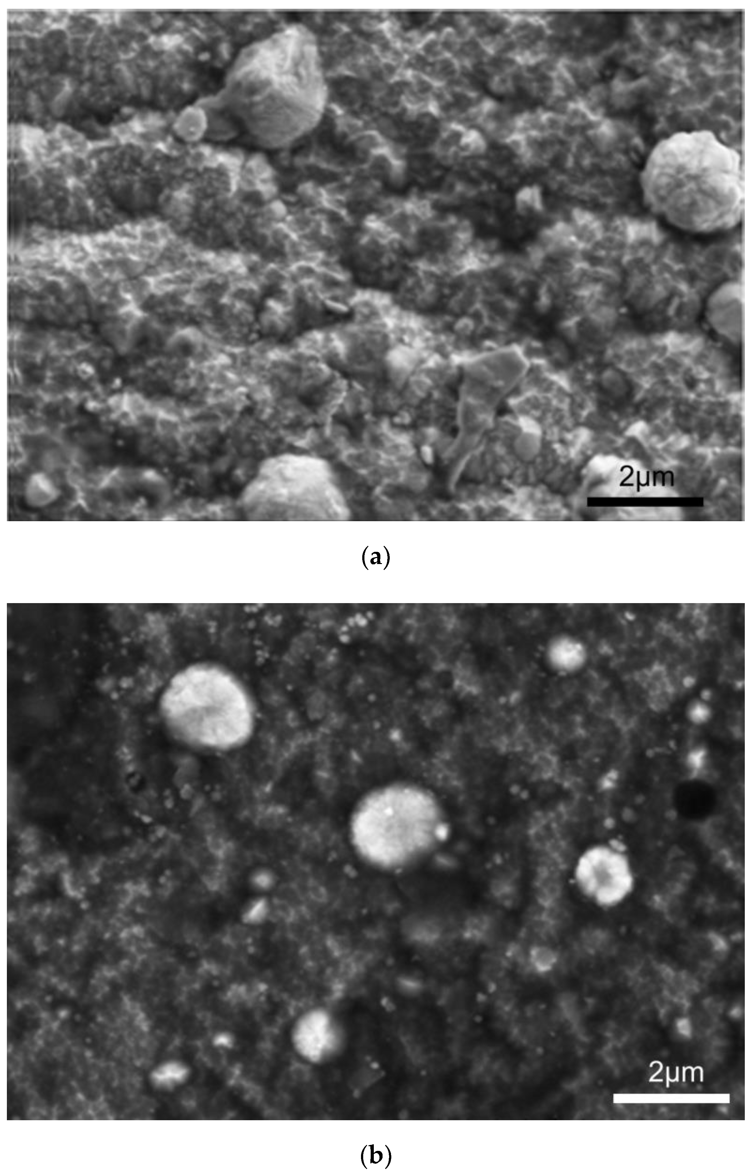 Materials 14 05903 g004 Materials 14 05903 g004