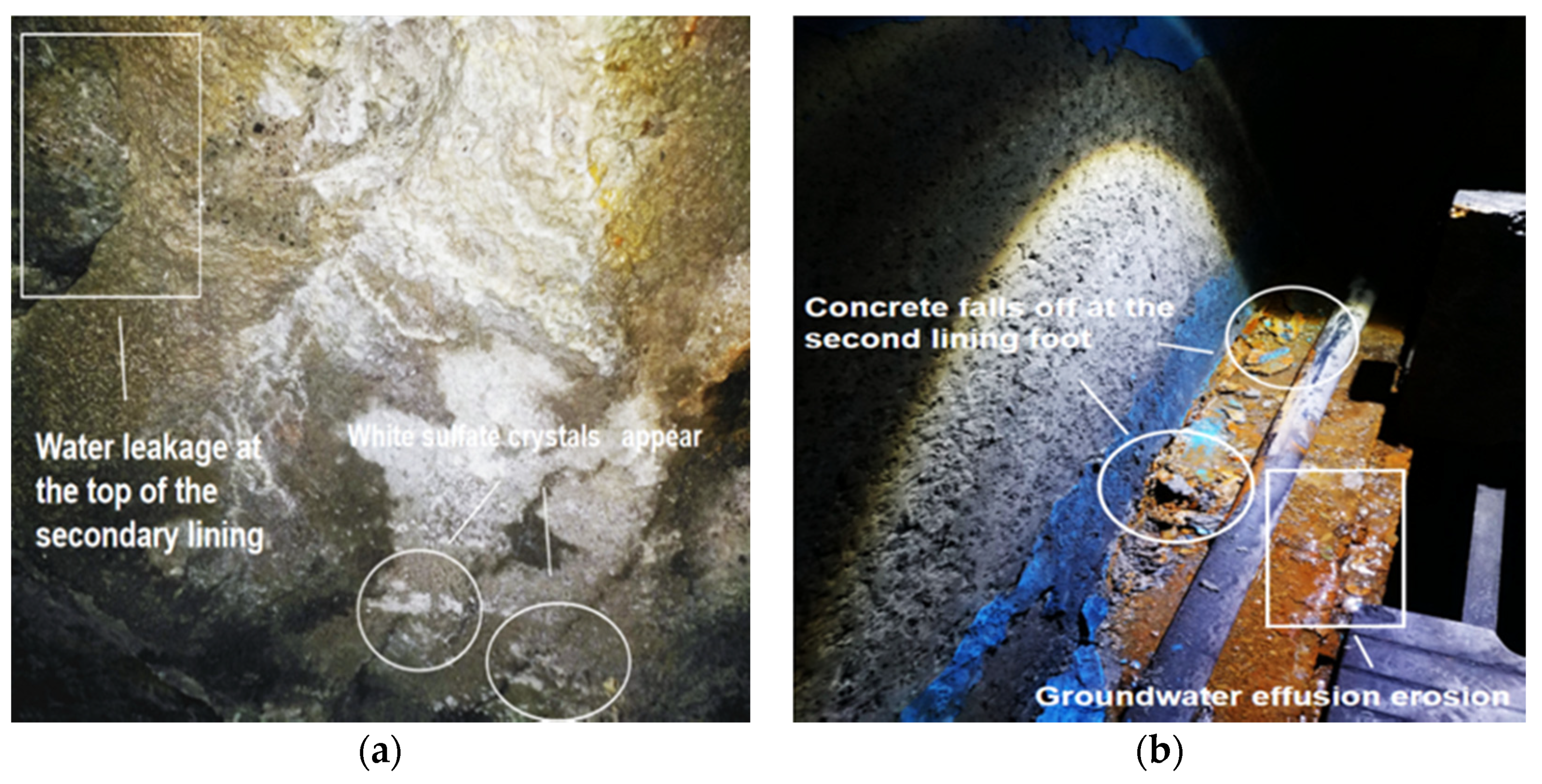 Materials 14 05904 g001