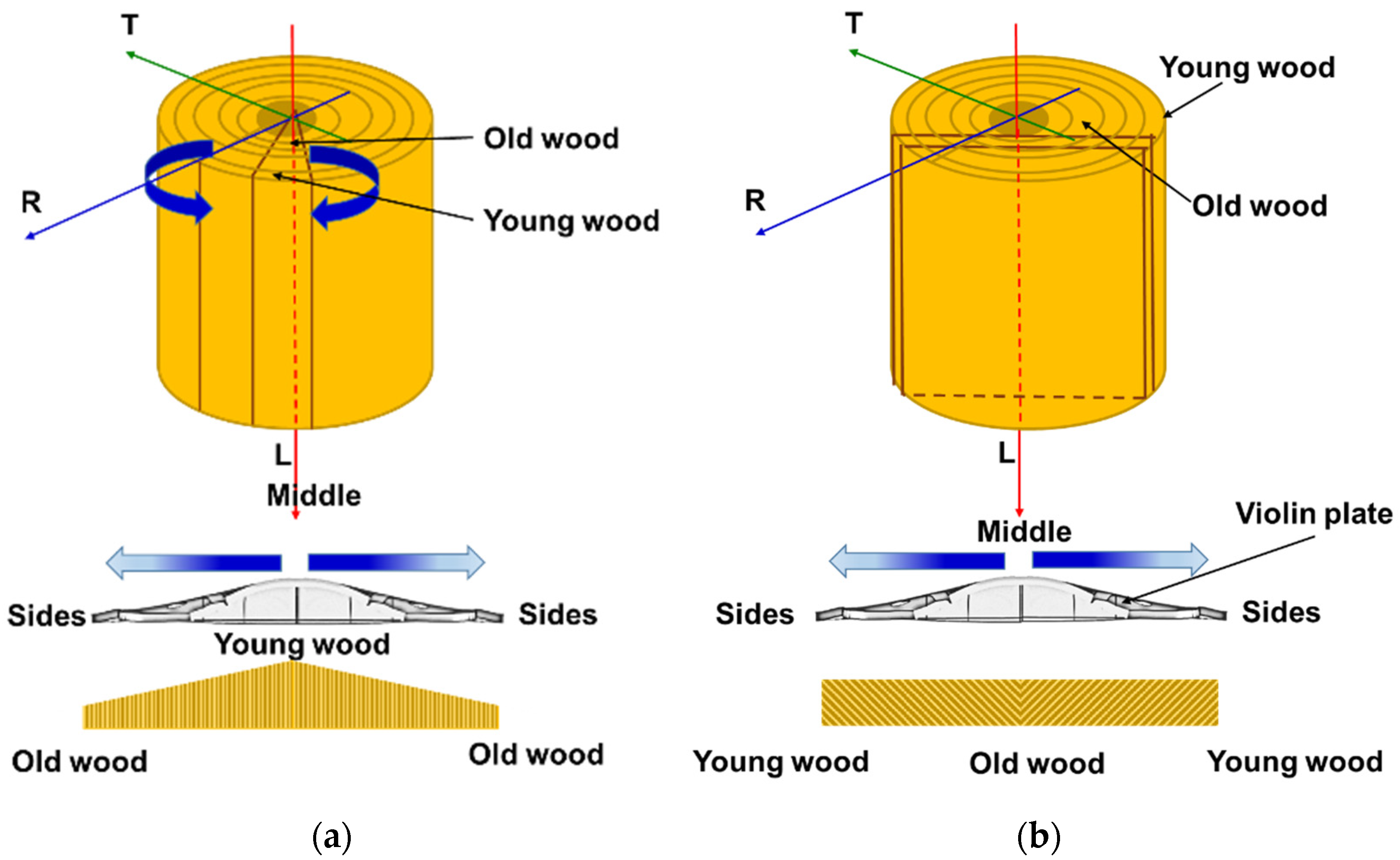 Materials 14 05926 g002