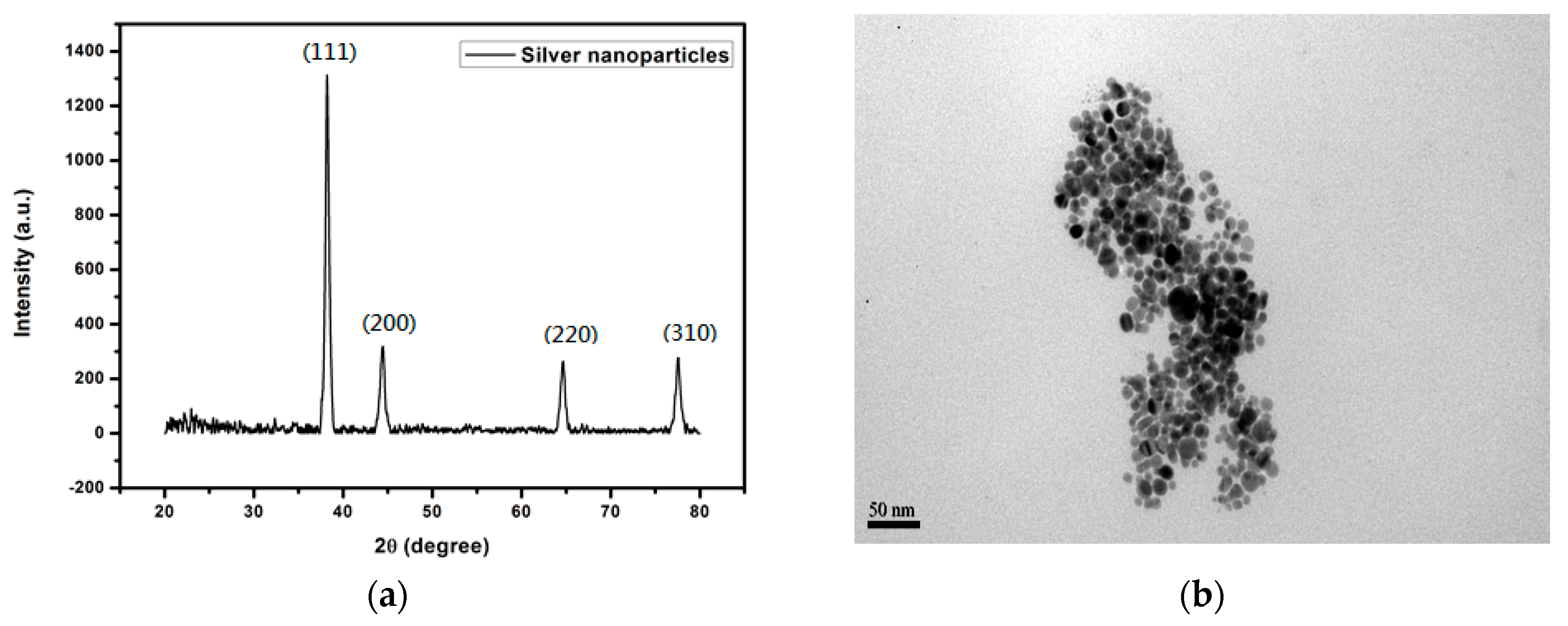 Materials 14 05941 g002