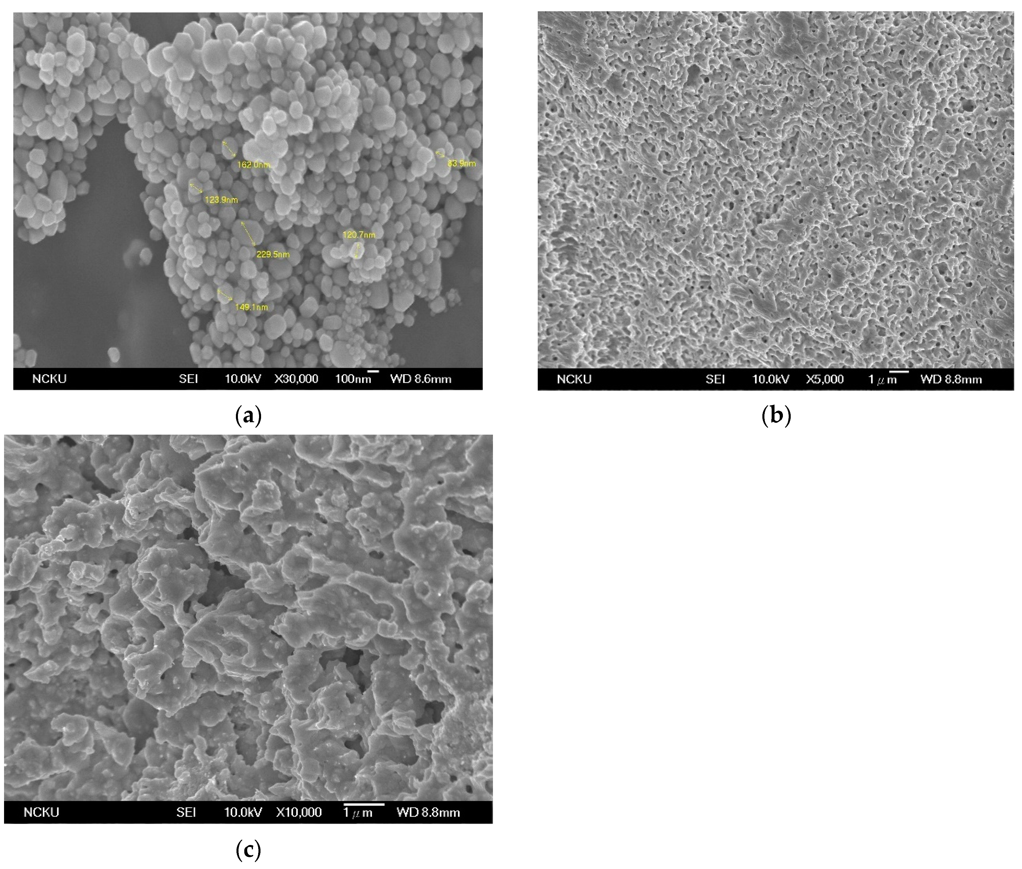 Materials 14 05941 g008