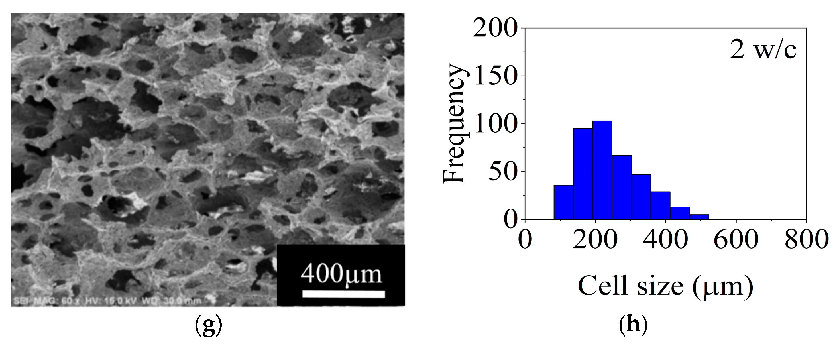 Materials 14 05945 g009b
