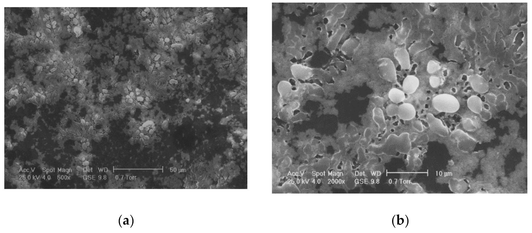 Materials 14 05948 g002a