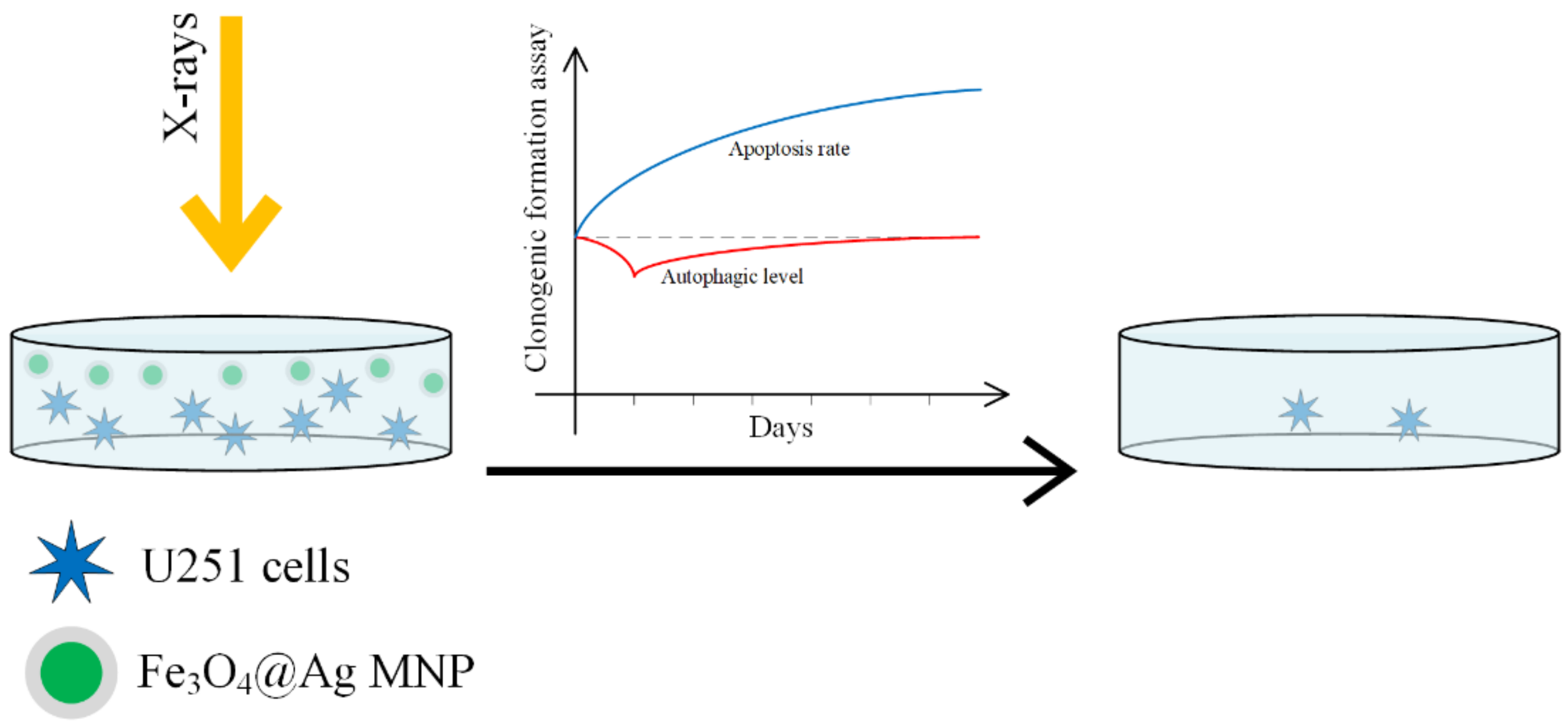 Materials 14 05948 g014