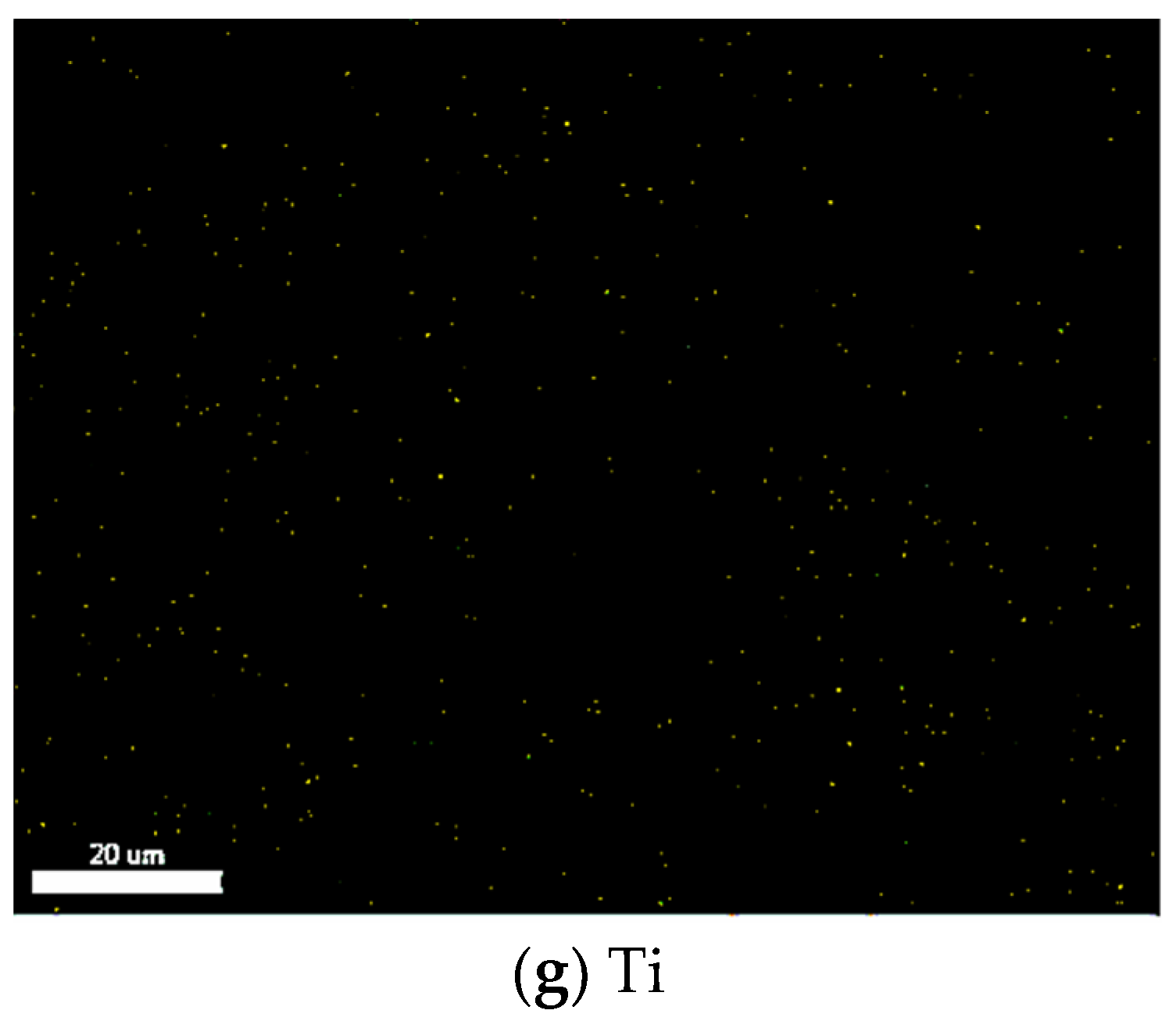 Materials 14 05970 g003b