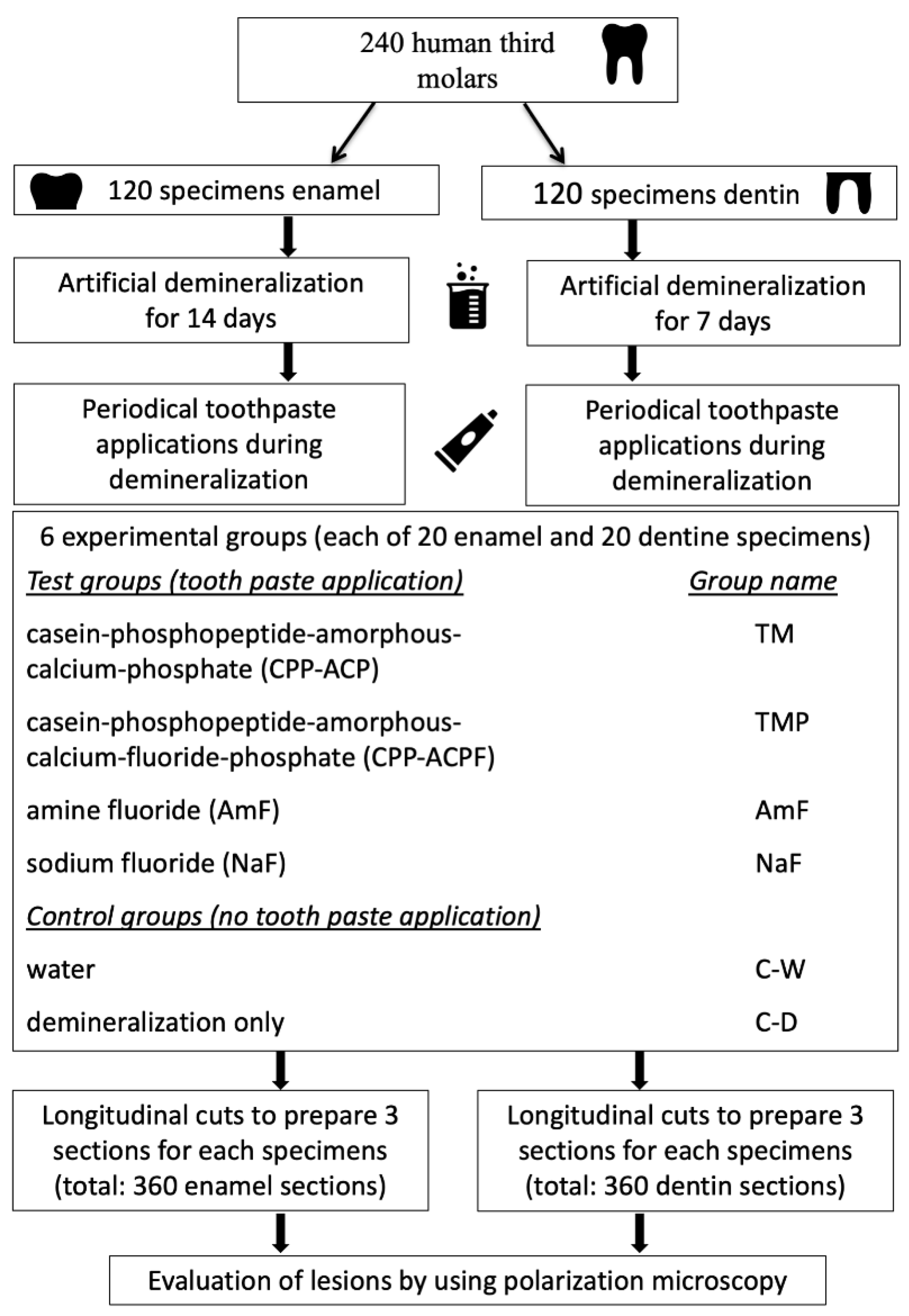 Materials 14 05974 g001