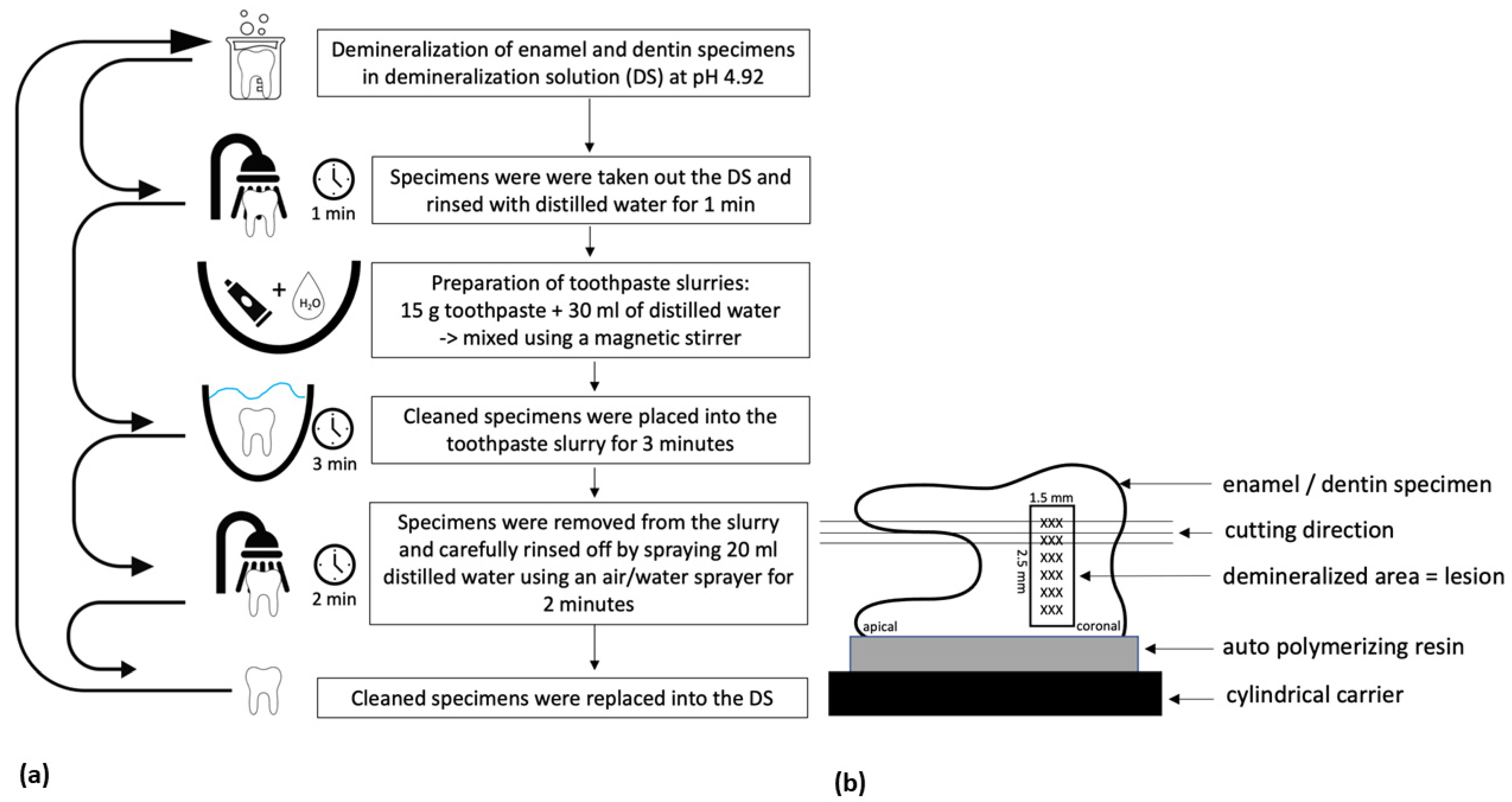 Materials 14 05974 g002