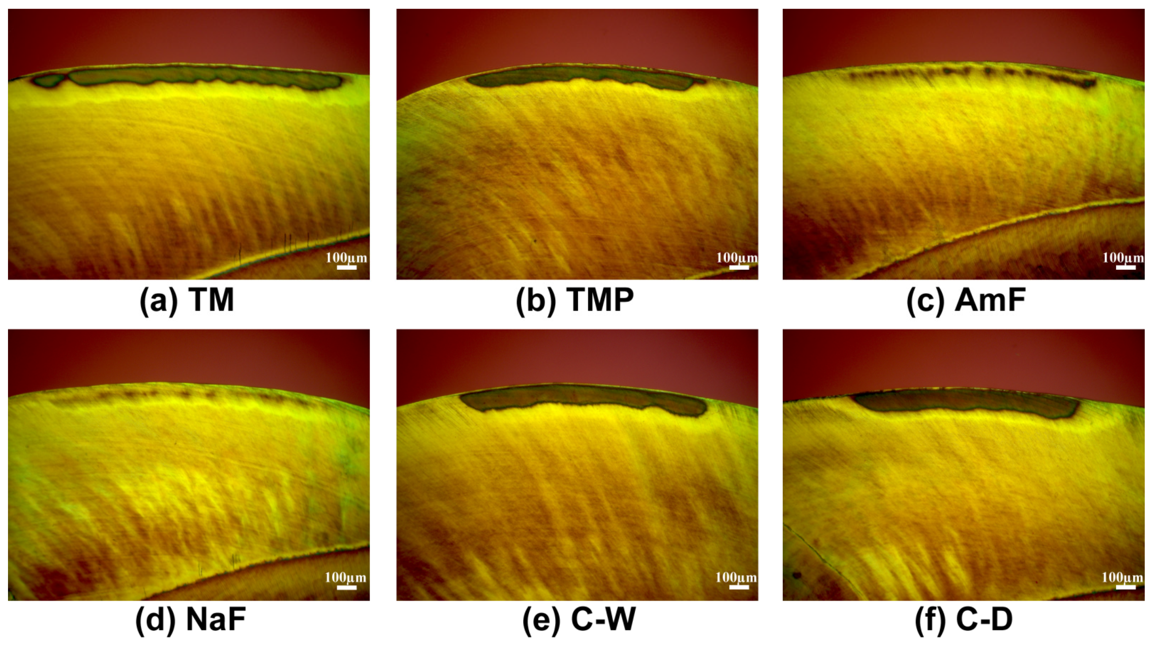 Materials 14 05974 g005