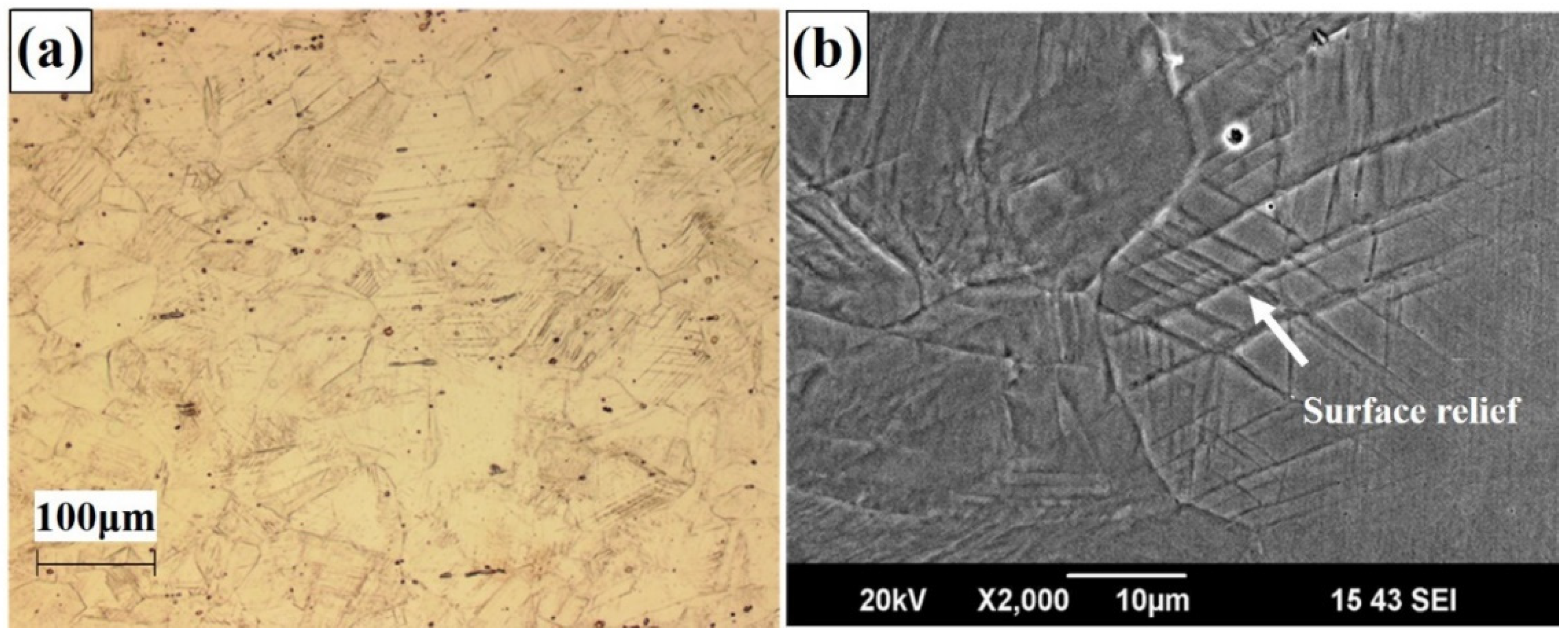 Materials 14 05975 g002 Materials 14 05975 g002