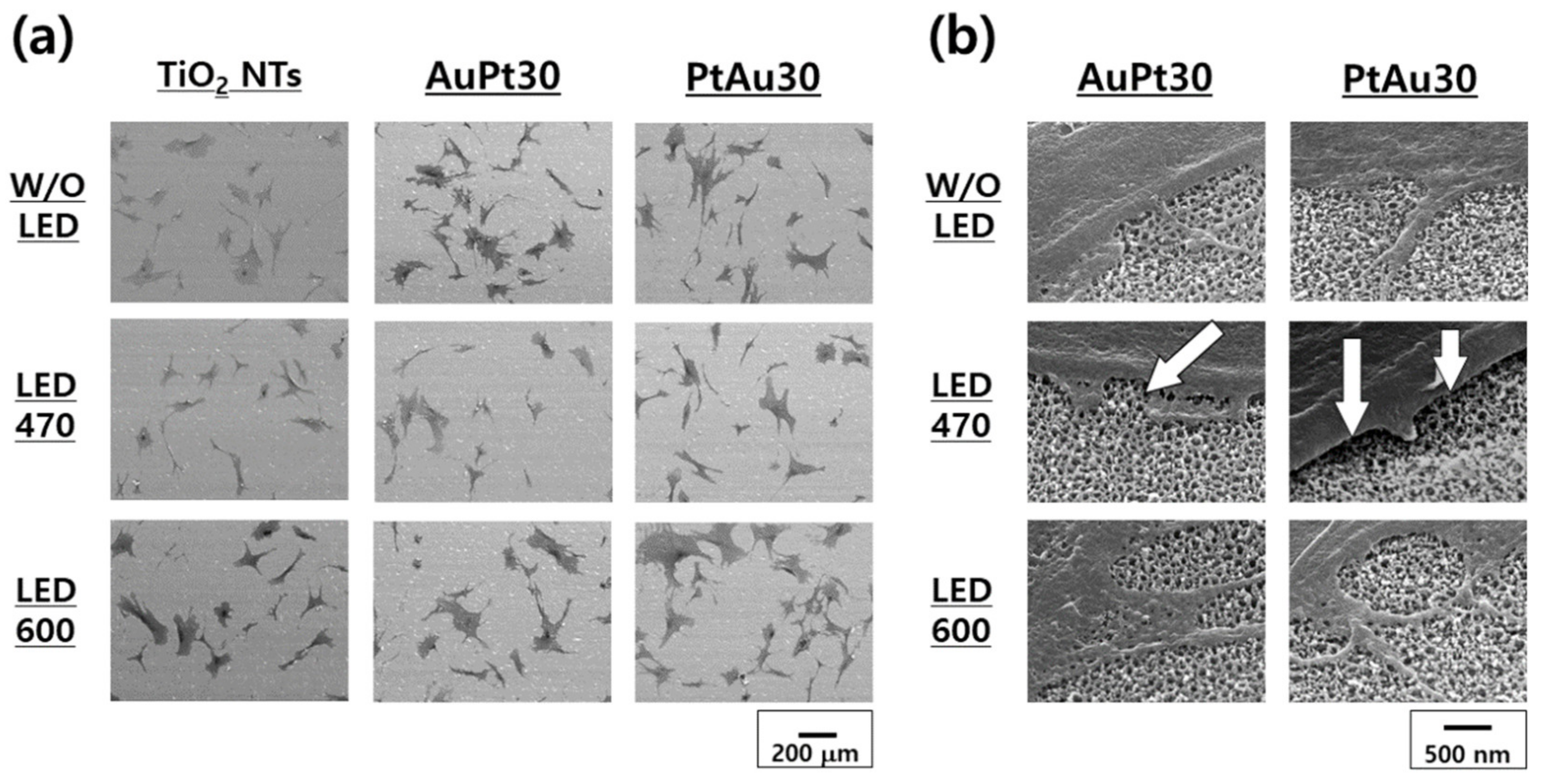 Materials 14 05976 g006
