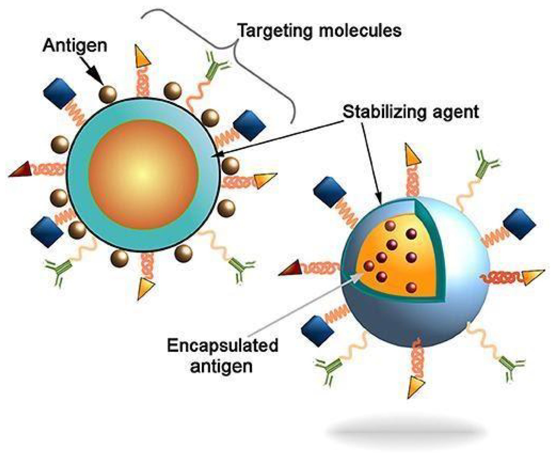 Materials 14 05978 g012